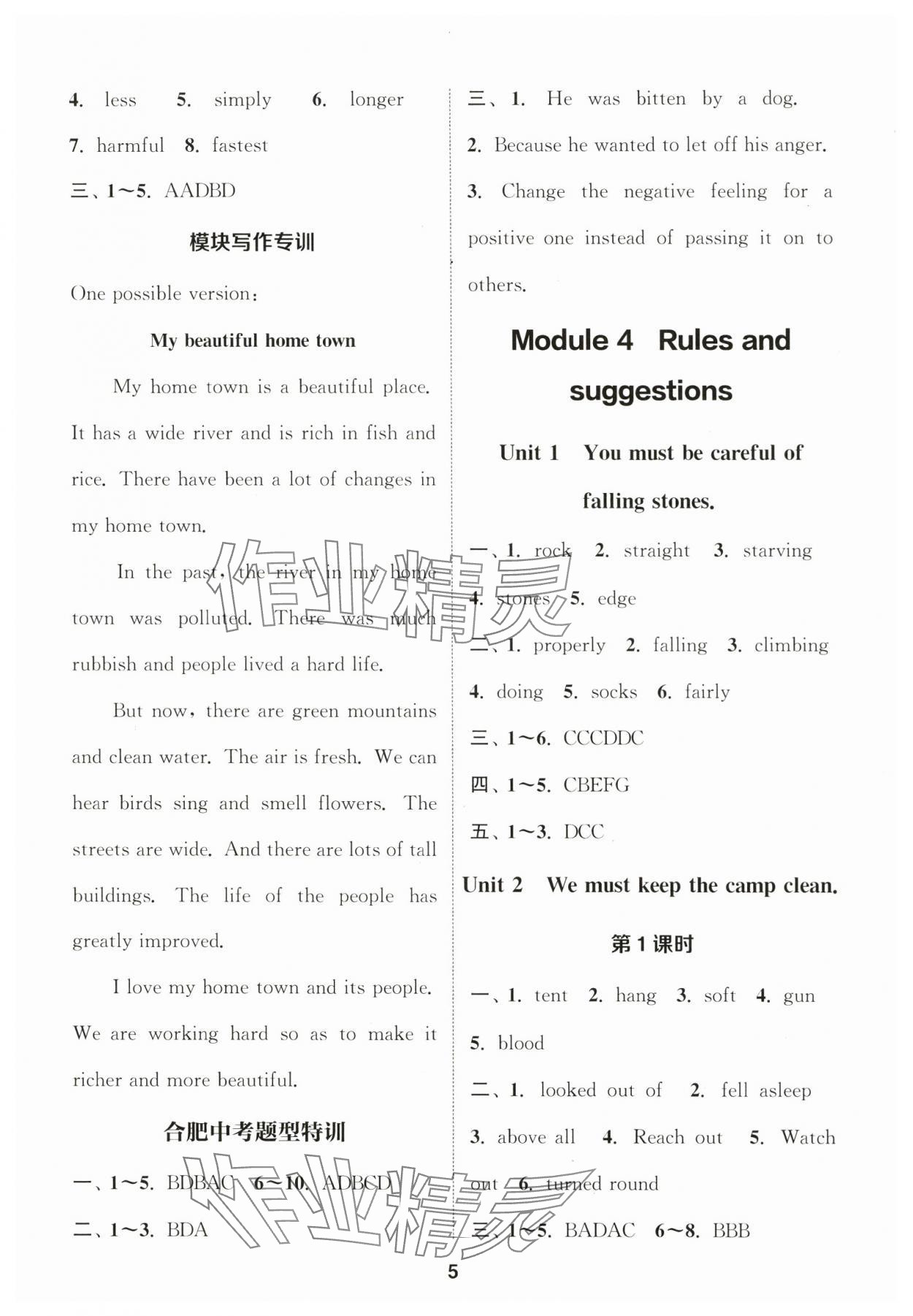 2025年通成學(xué)典課時(shí)作業(yè)本九年級(jí)英語(yǔ)下冊(cè)外研版合肥專(zhuān)版&nbsp;第5頁(yè)