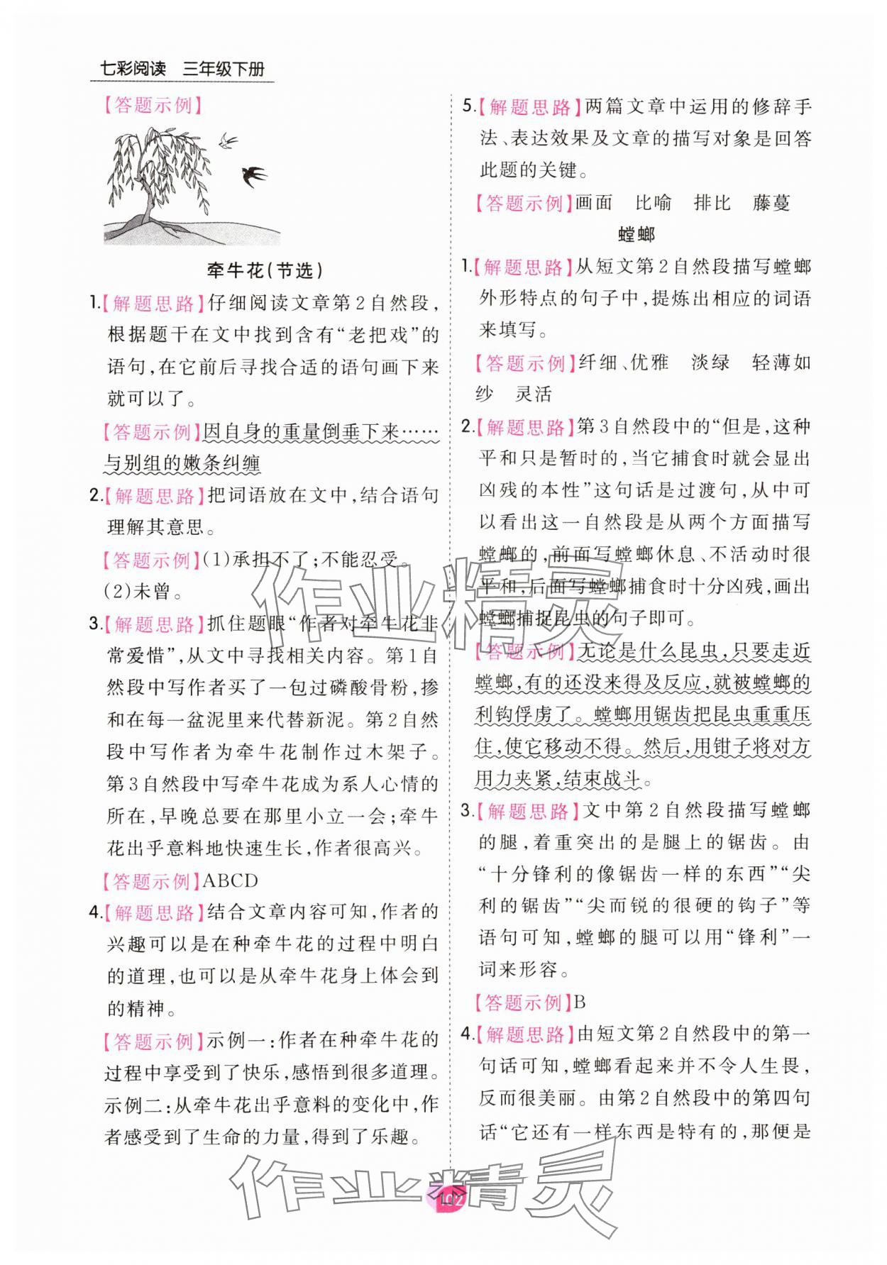 2025年七彩阅读三年级语文下册人教版 参考答案第2页