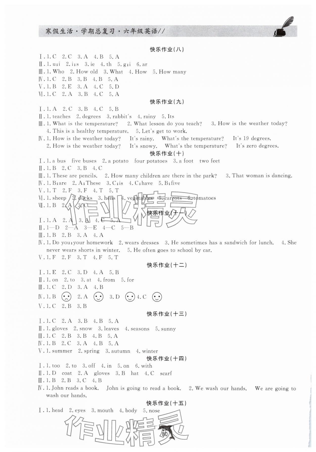 2025年寒假生活学期总复习六年级英语 第2页
