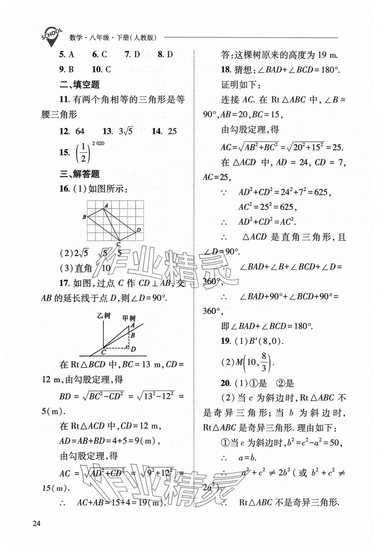 2024年新課程問題解決導(dǎo)學(xué)方案八年級數(shù)學(xué)下冊人教版 參考答案第24頁