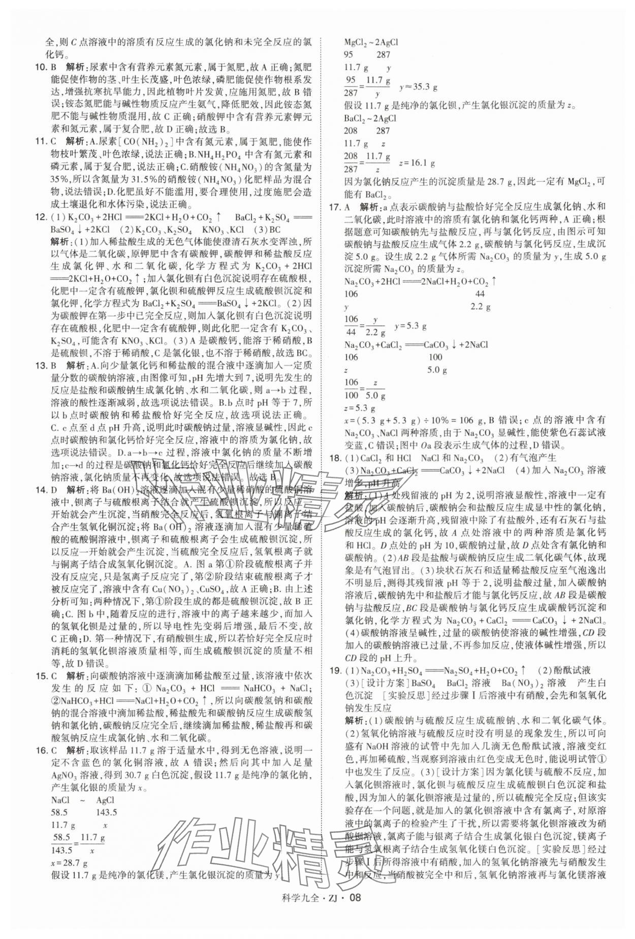 2025年學霸題中題九年級科學全一冊浙教版 第8頁