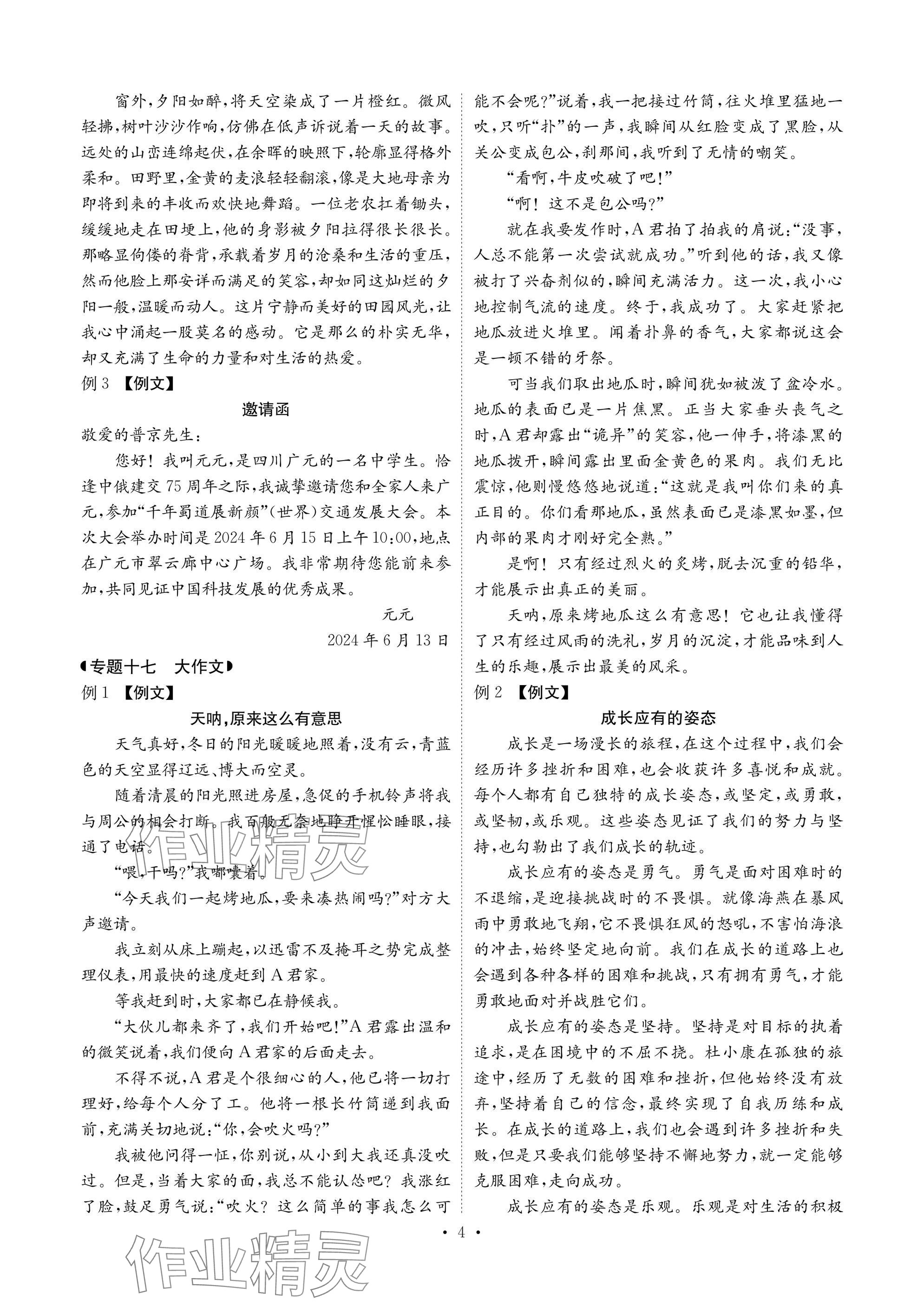 2025年新中考優化方案語文 參考答案第4頁