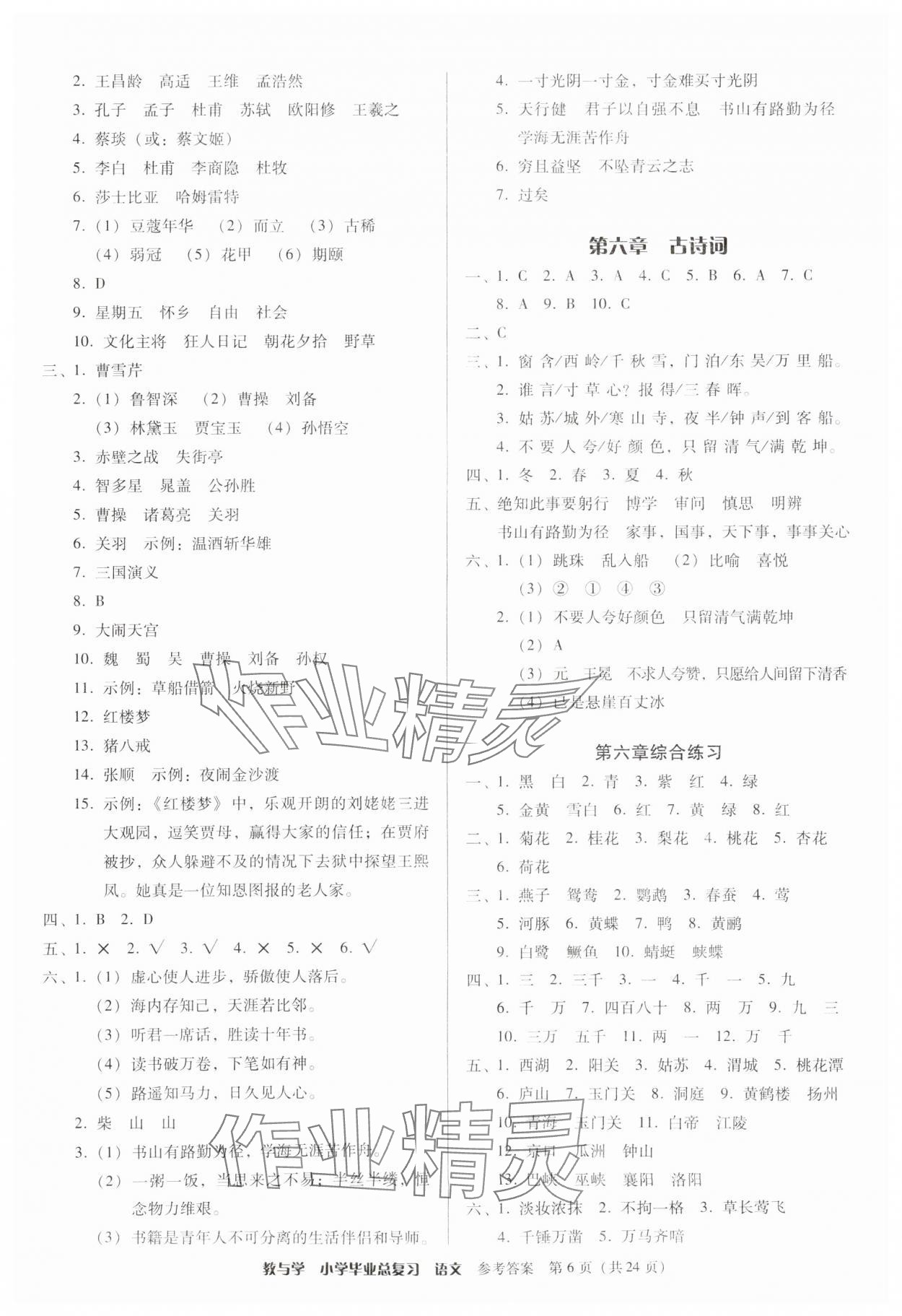2025年教與學(xué)小學(xué)畢業(yè)總復(fù)習(xí)語(yǔ)文 第6頁(yè)