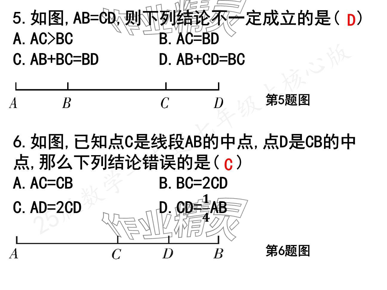 2024年一本通武漢出版社七年級數(shù)學(xué)上冊北師大版核心板 參考答案第18頁