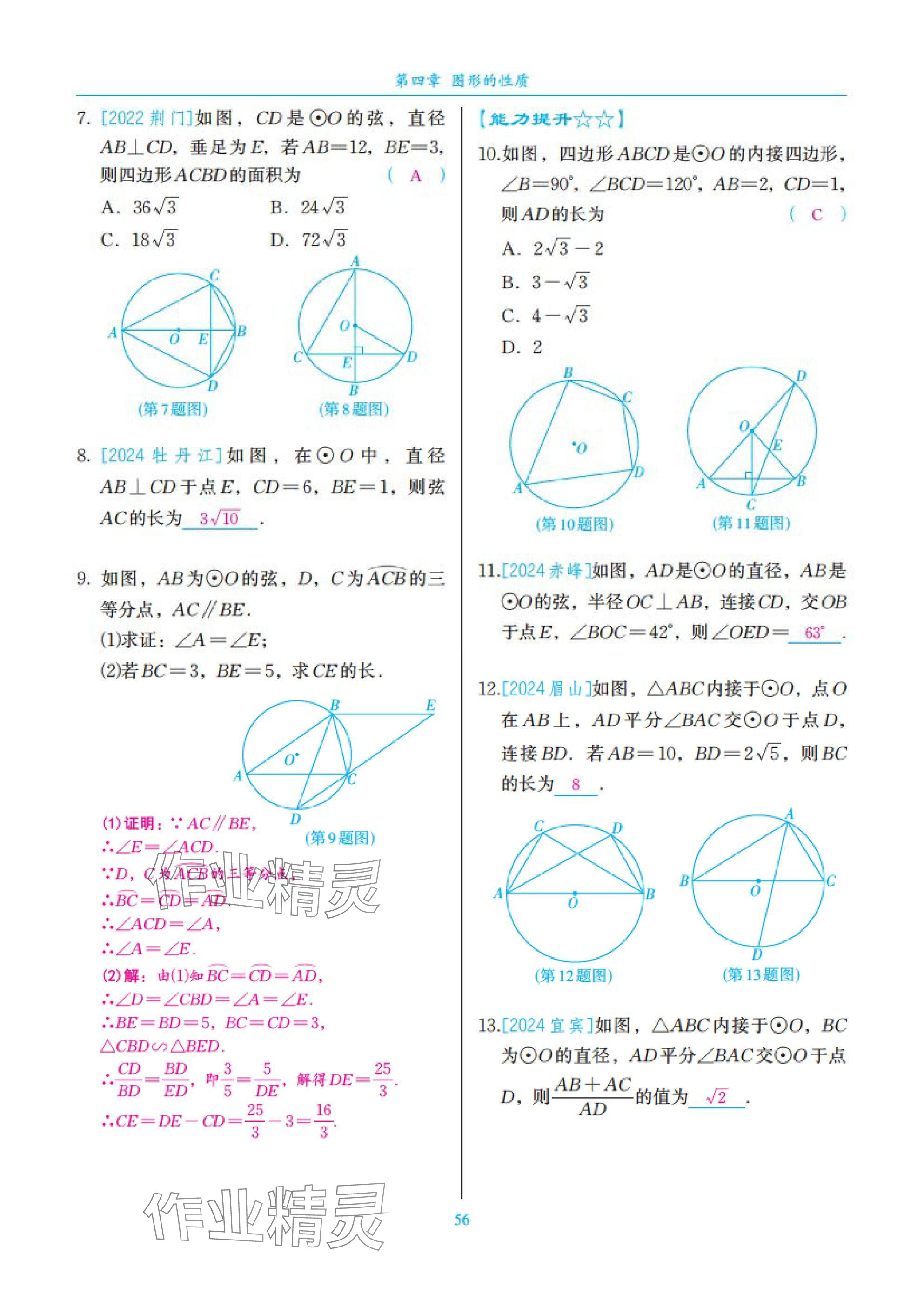 2025年中考复习一本全数学北师大版深圳专版&nbsp;参考答案第56页