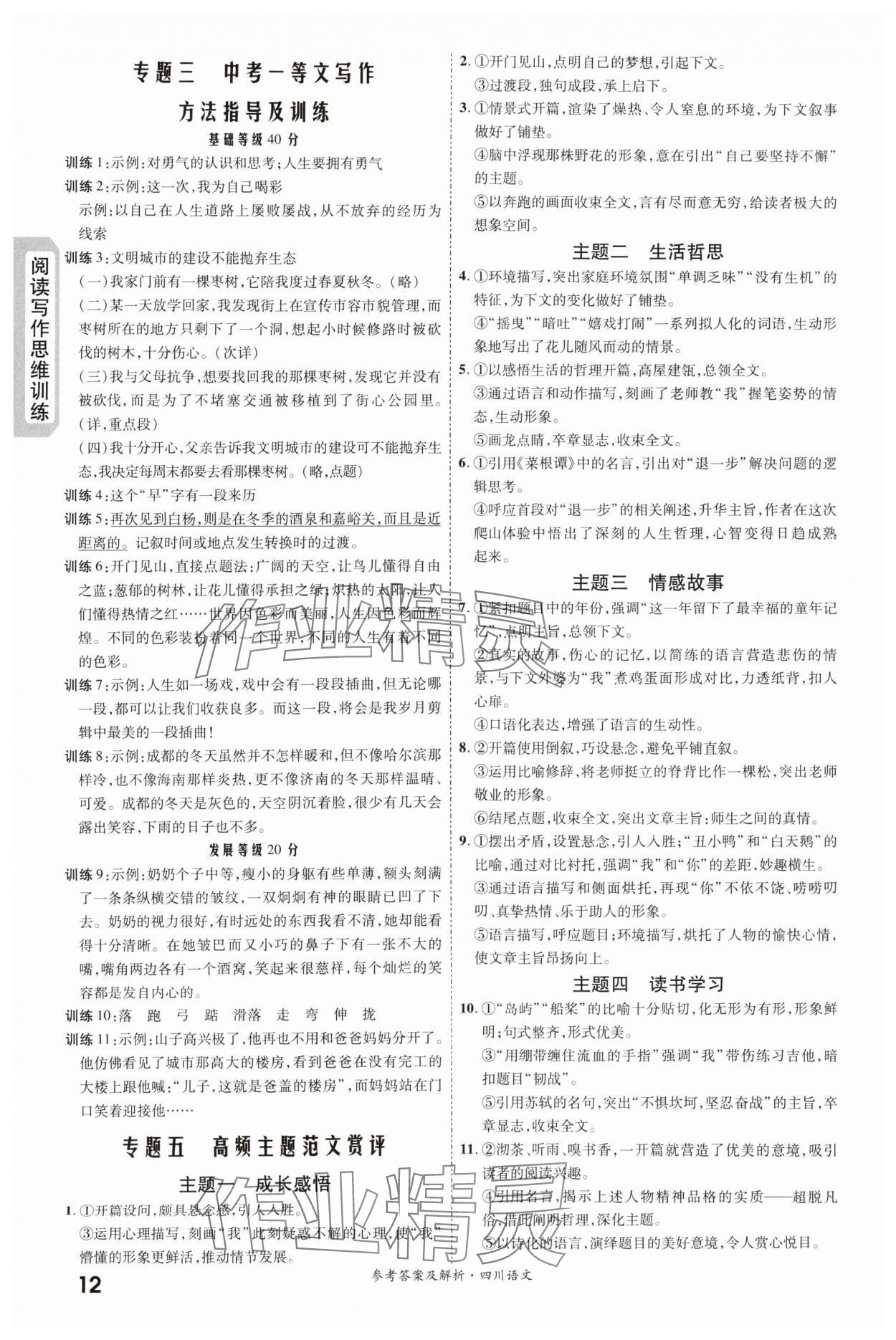 2024年一戰(zhàn)成名新中考語文四川專版&nbsp;第12頁