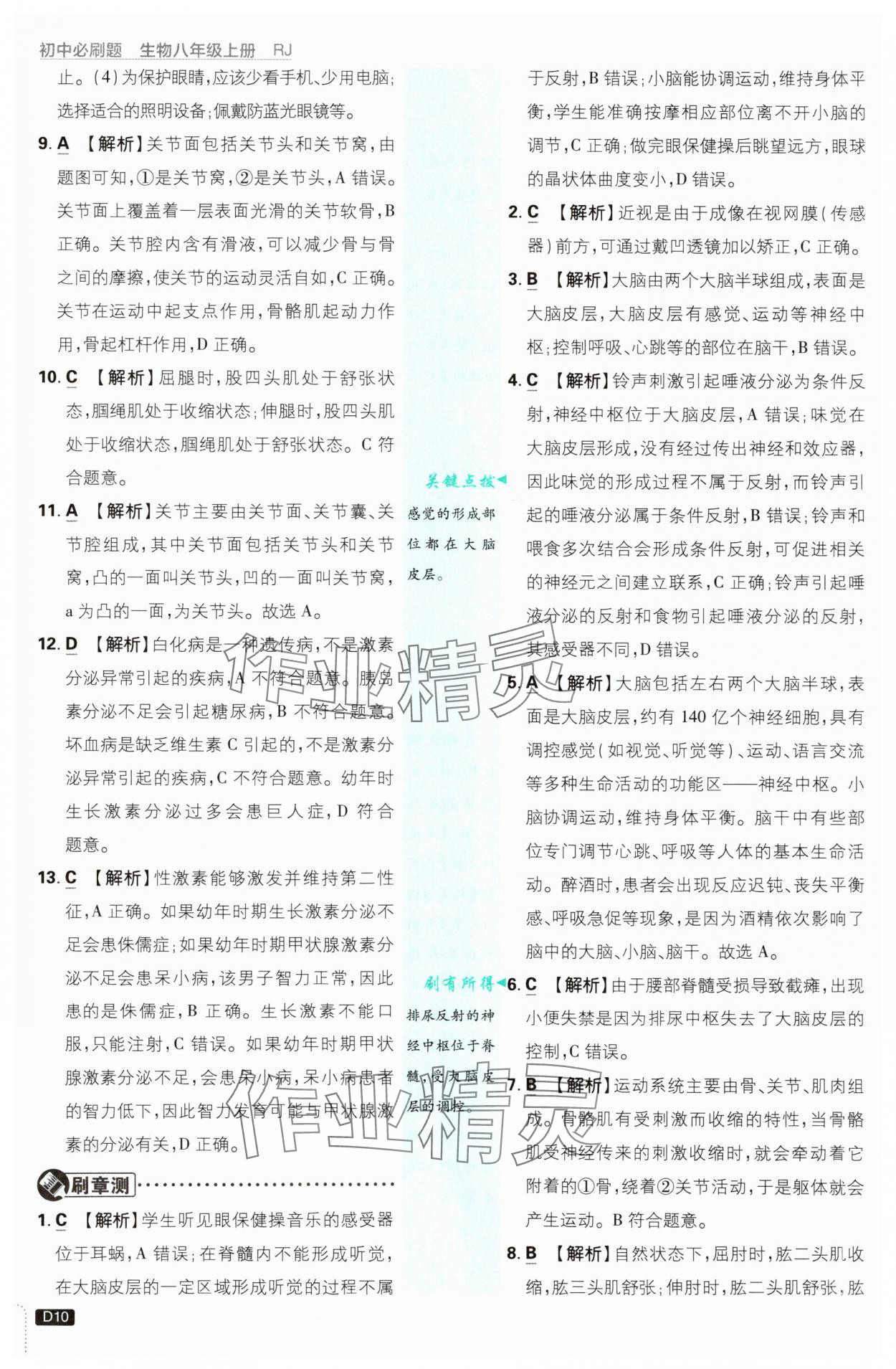 2025年初中必刷題八年級生物上冊人教版 第10頁