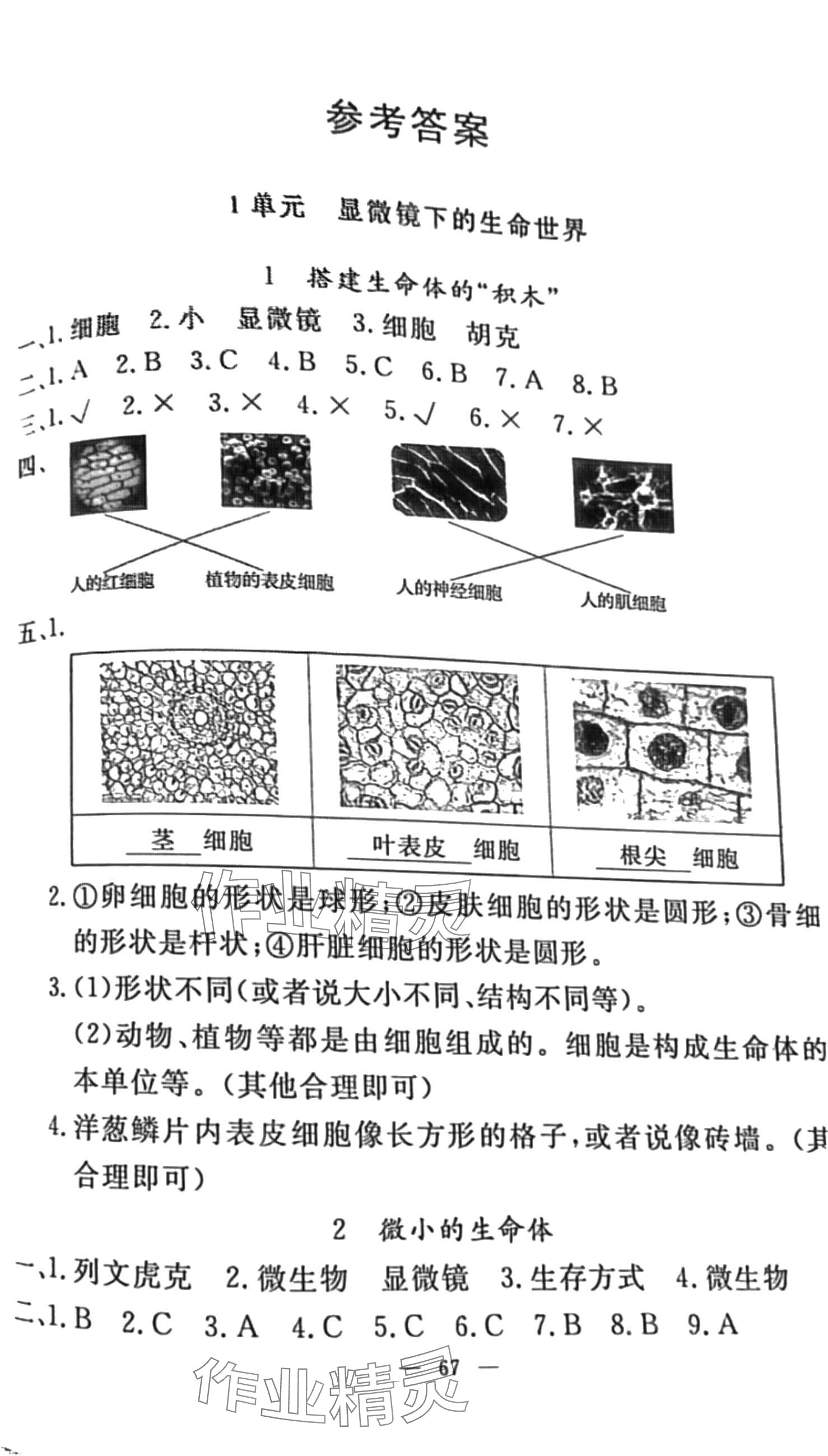 2024年同步练习册山东科学技术出版社五年级下册苏教版 第1页