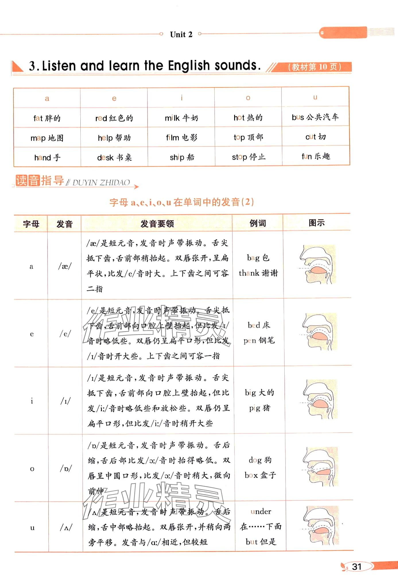 2024年教材课本六年级英语下册闽教版 第31页