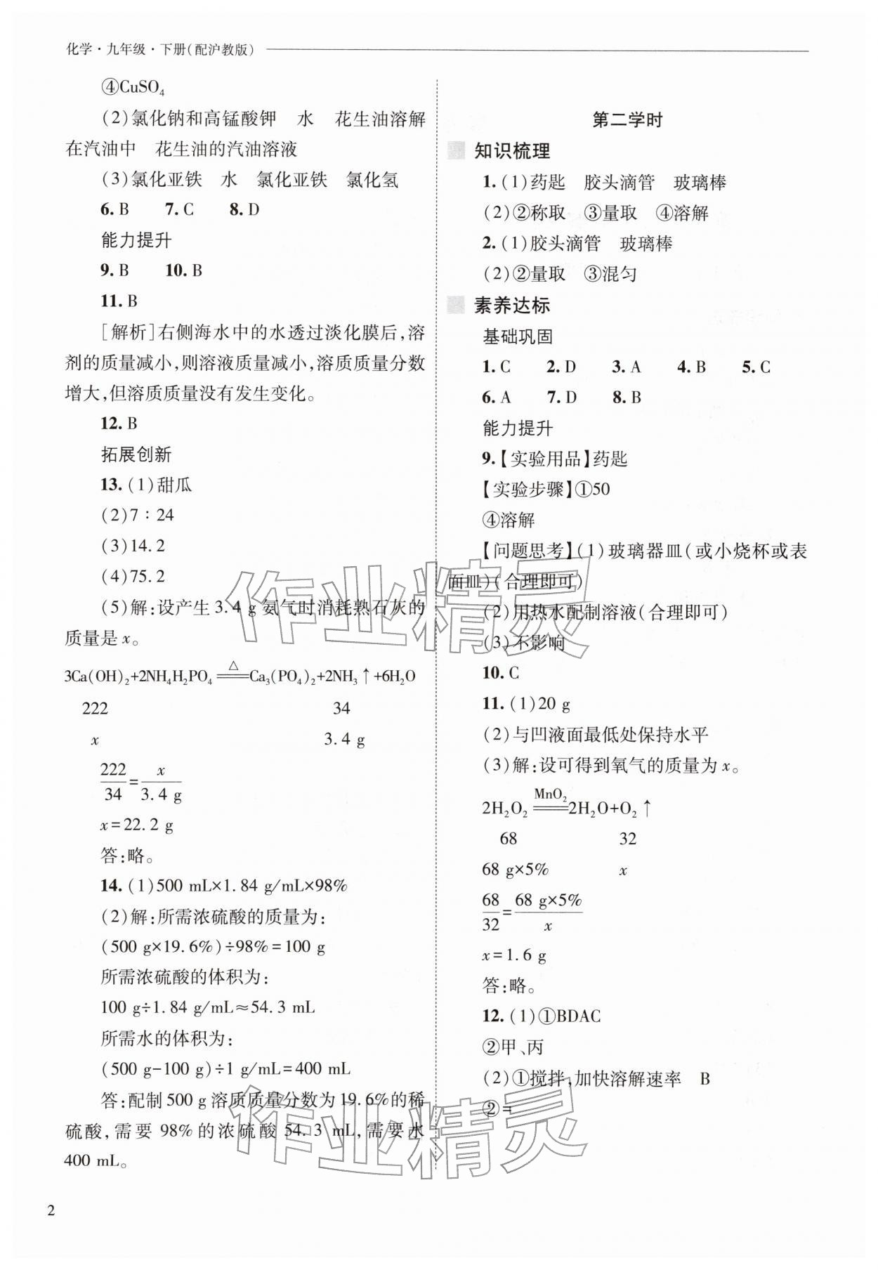 2026年新课程问题解决导学方案九年级化学下册沪教版&nbsp;第2页