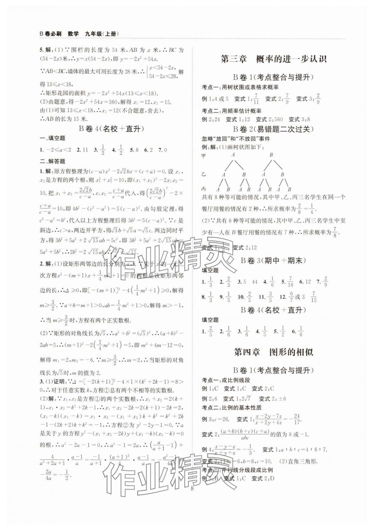 2025年B卷必刷九年級數(shù)學(xué)全一冊北師大版 第8頁