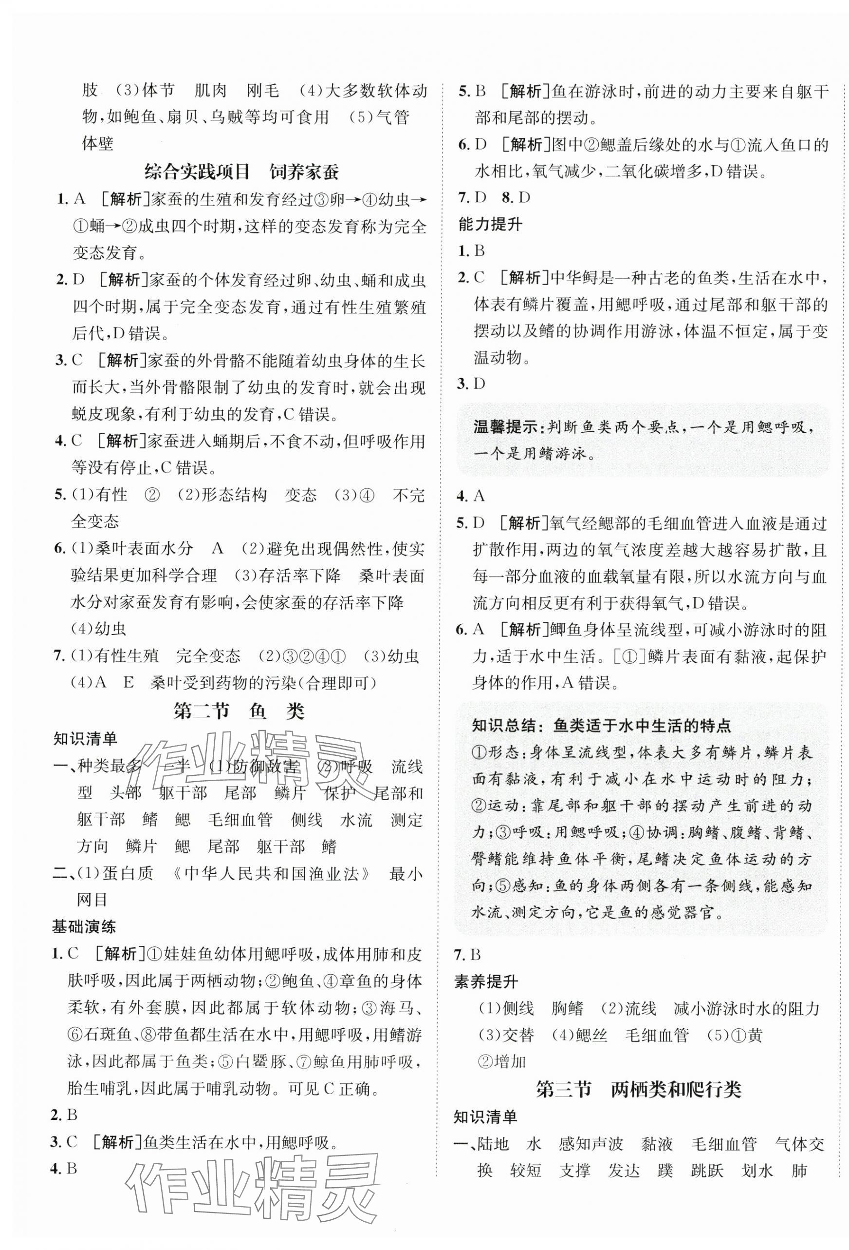 2025年同行學案學練測學練測六年級生物下冊魯科版54制 第5頁