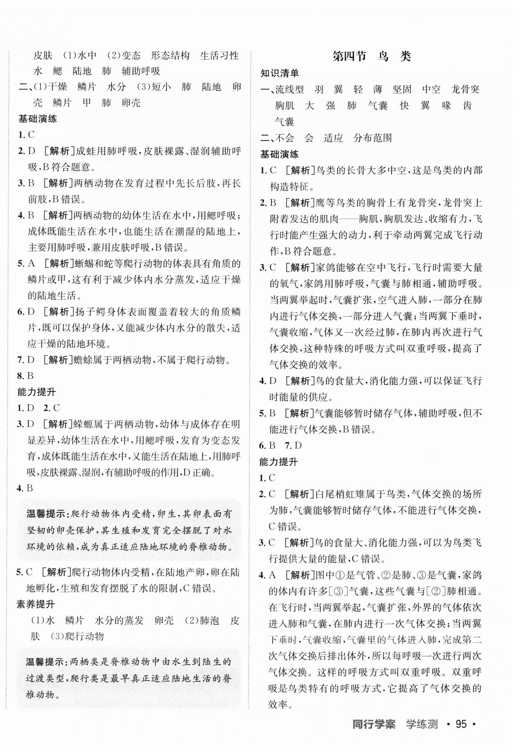 2025年同行學案學練測學練測六年級生物下冊魯科版54制 第6頁