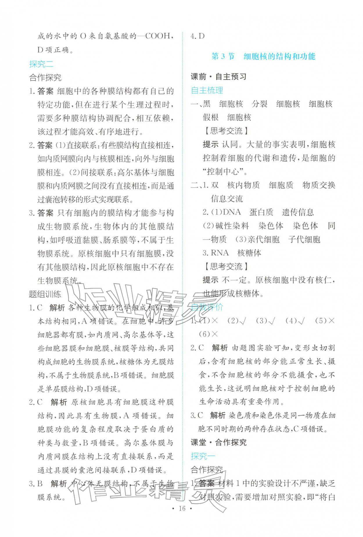 2025年能力培养与测试高中生物必修1人教版 参考答案第15页