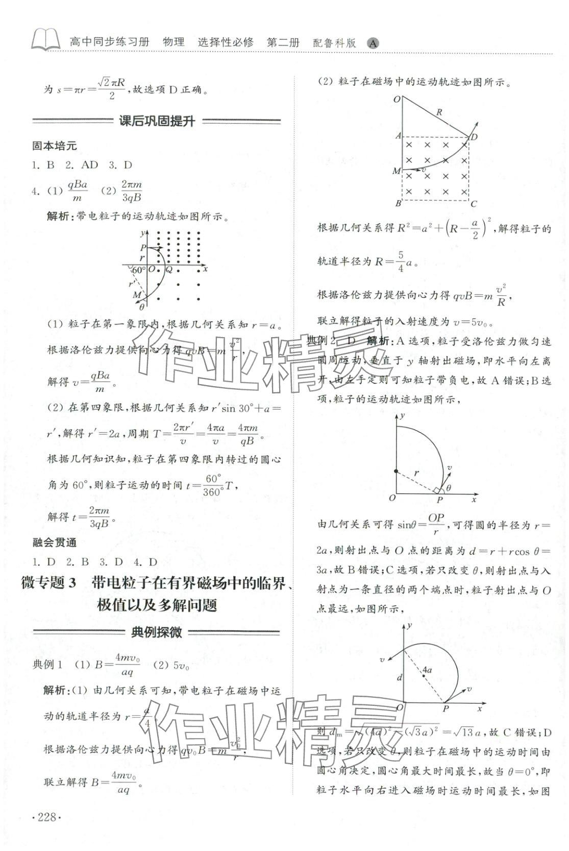 2025年同步练习册山东科学技术出版社高中物理选择性必修第二册鲁科版 第8页