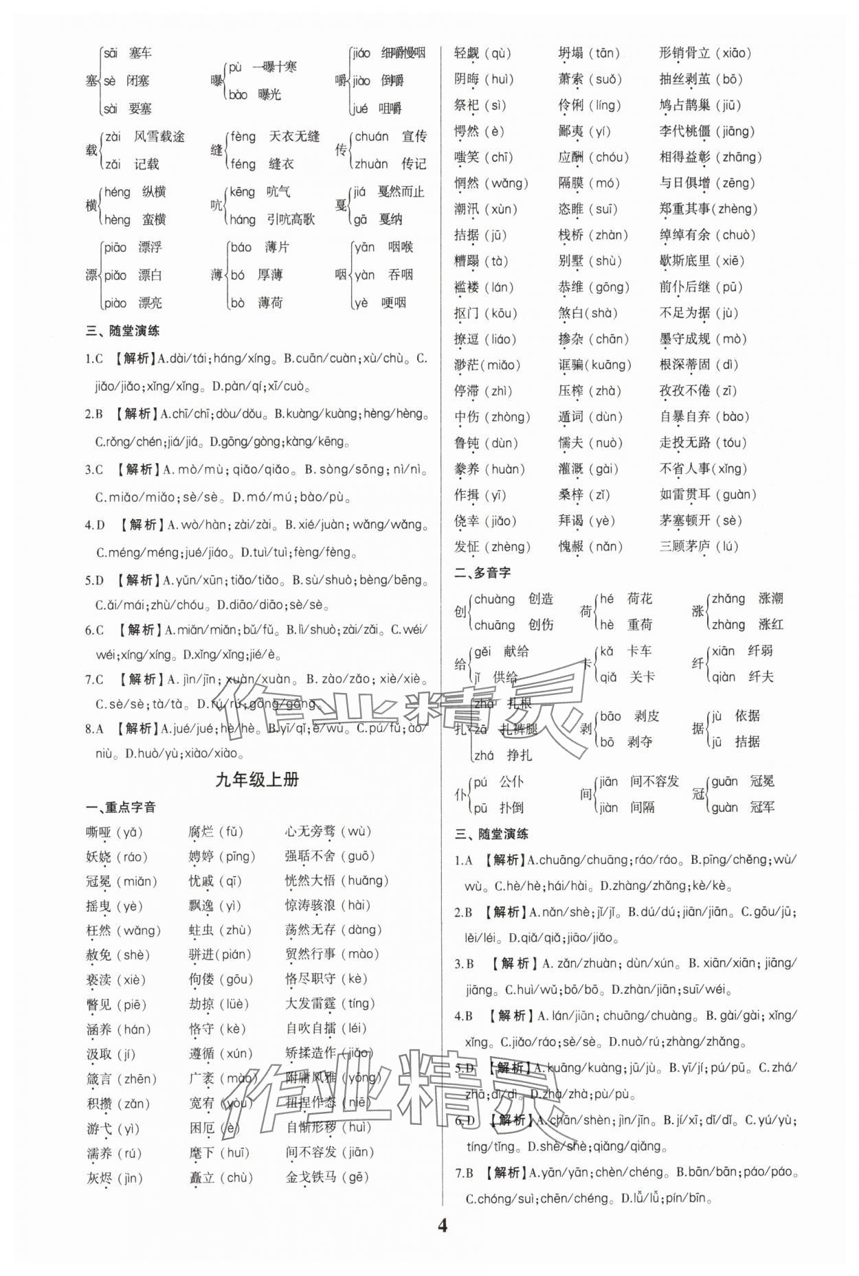 2024年一本到位語文中考廣州專版 第4頁