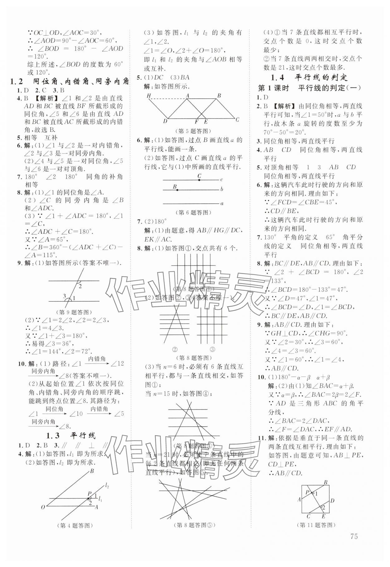 2025年全效学习阶段发展评价七年级数学下册浙教版 参考答案第2页