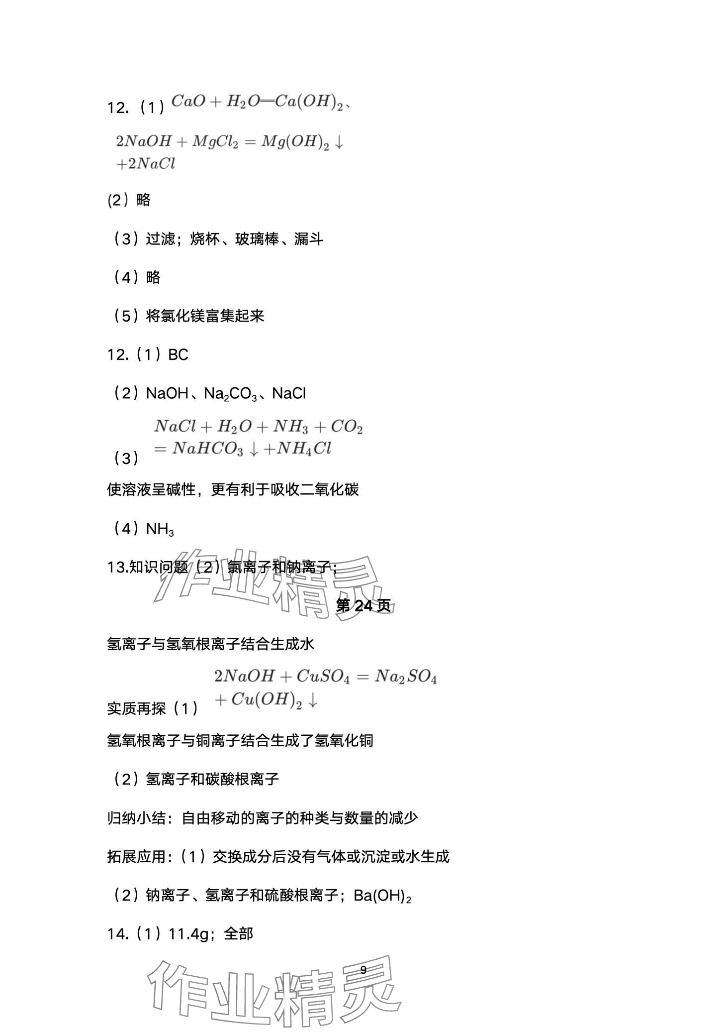 2024年同步練習(xí)冊(cè)配套檢測(cè)卷九年級(jí)化學(xué)下冊(cè)魯教版煙臺(tái)專版五四制 第9頁(yè)