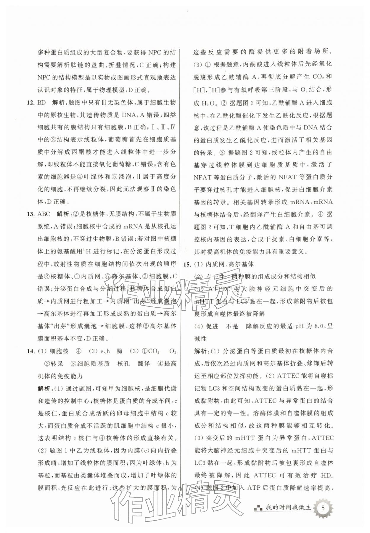 2026年最高考寒假作業(yè)高三生物&nbsp;第5頁(yè)