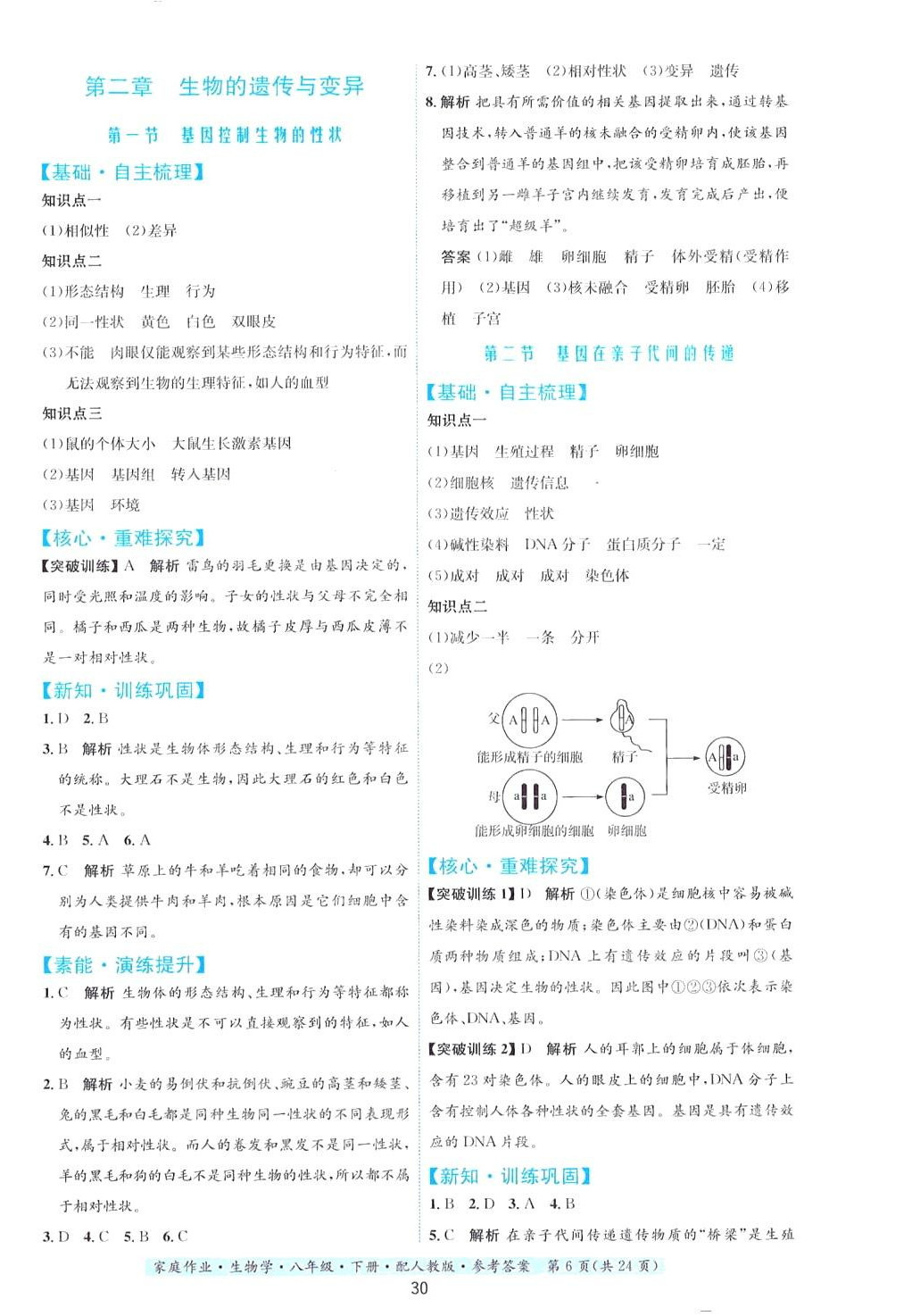 2024年家庭作業(yè)八年級(jí)生物下冊(cè)人教版 第6頁