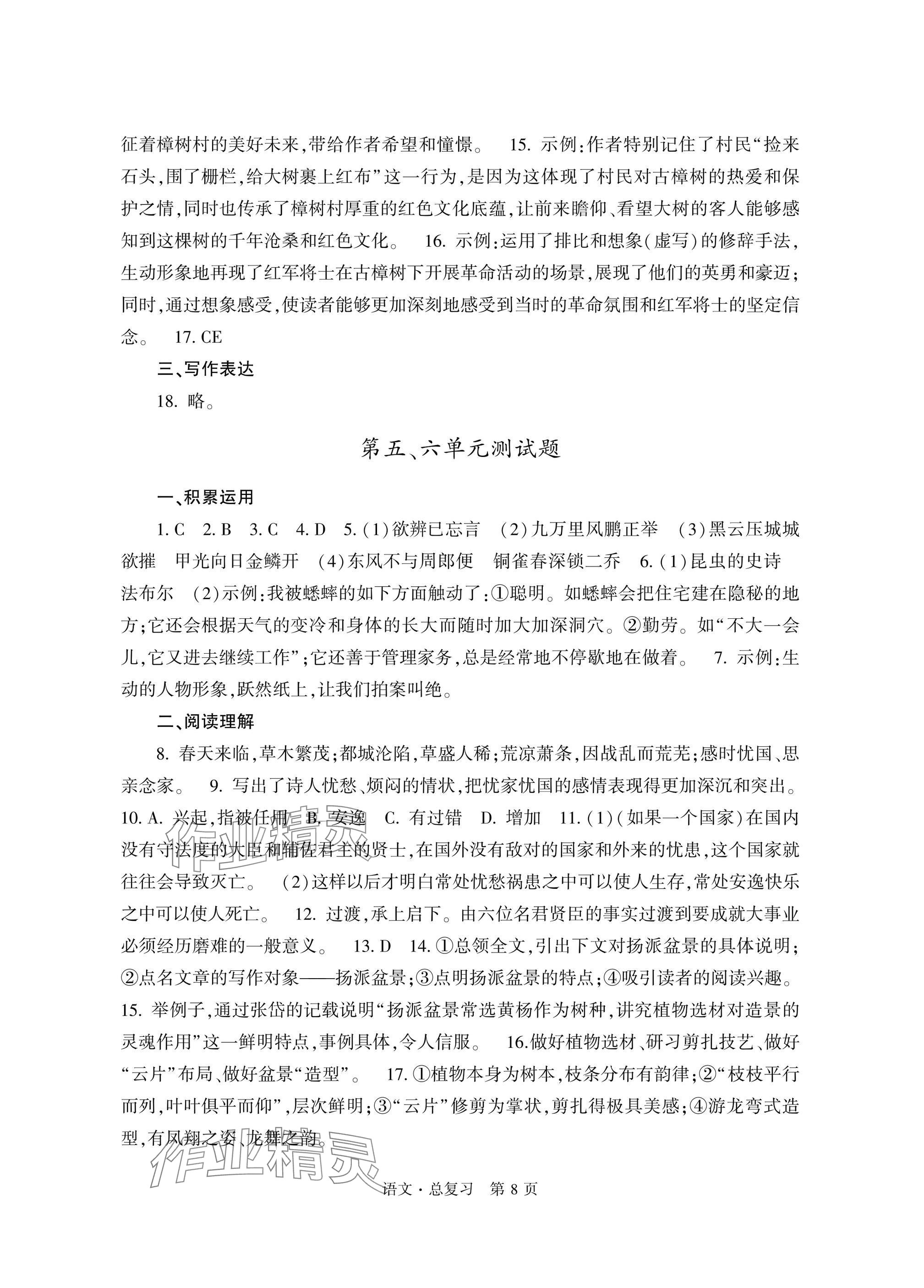 2025年自主学习指导课程总复习语文 参考答案第8页