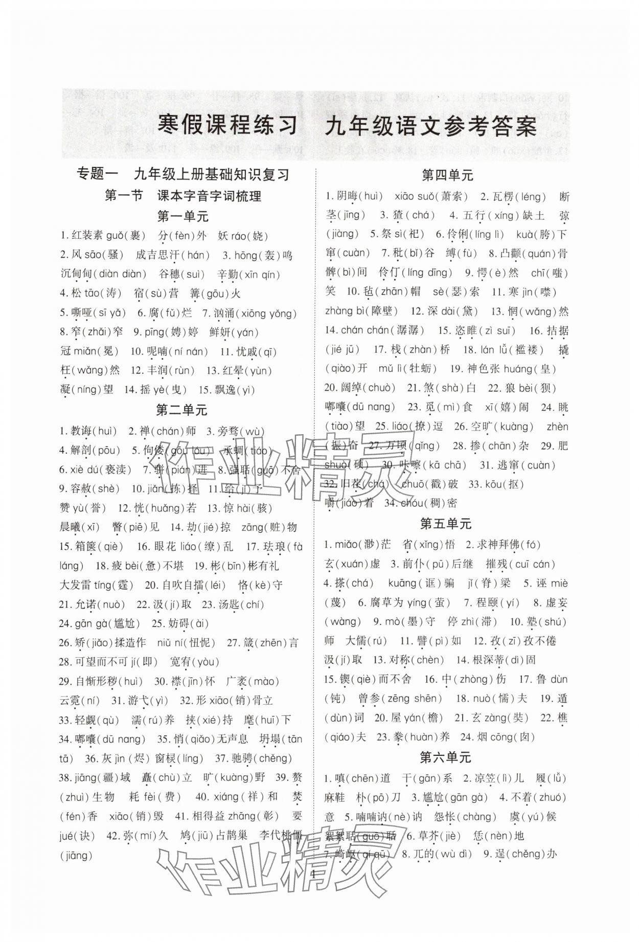 2025年寒假课程练习天津教育出版社九年级语文人教版 第1页