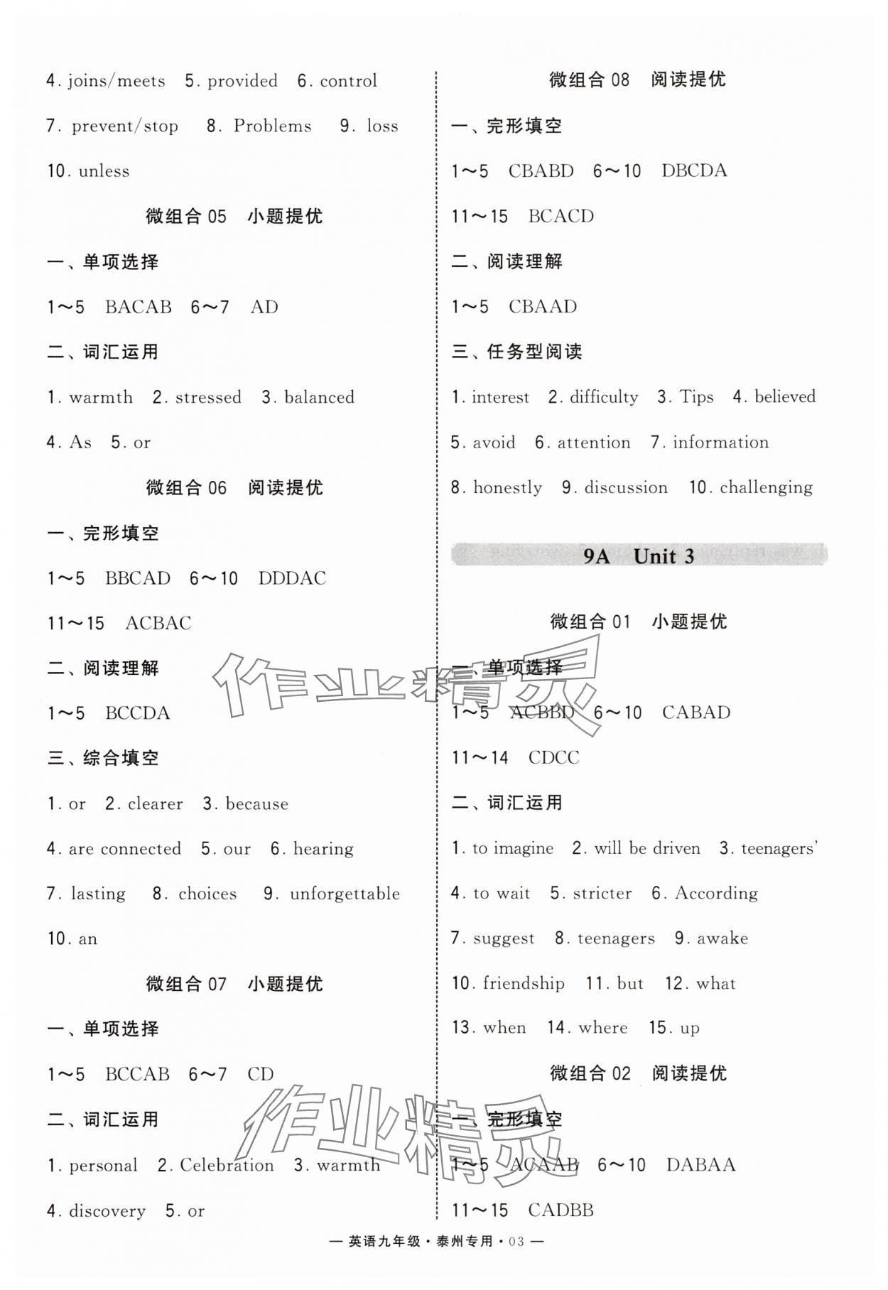 2025年學(xué)霸組合訓(xùn)練九年級英語全一冊譯林版泰州專版 第5頁