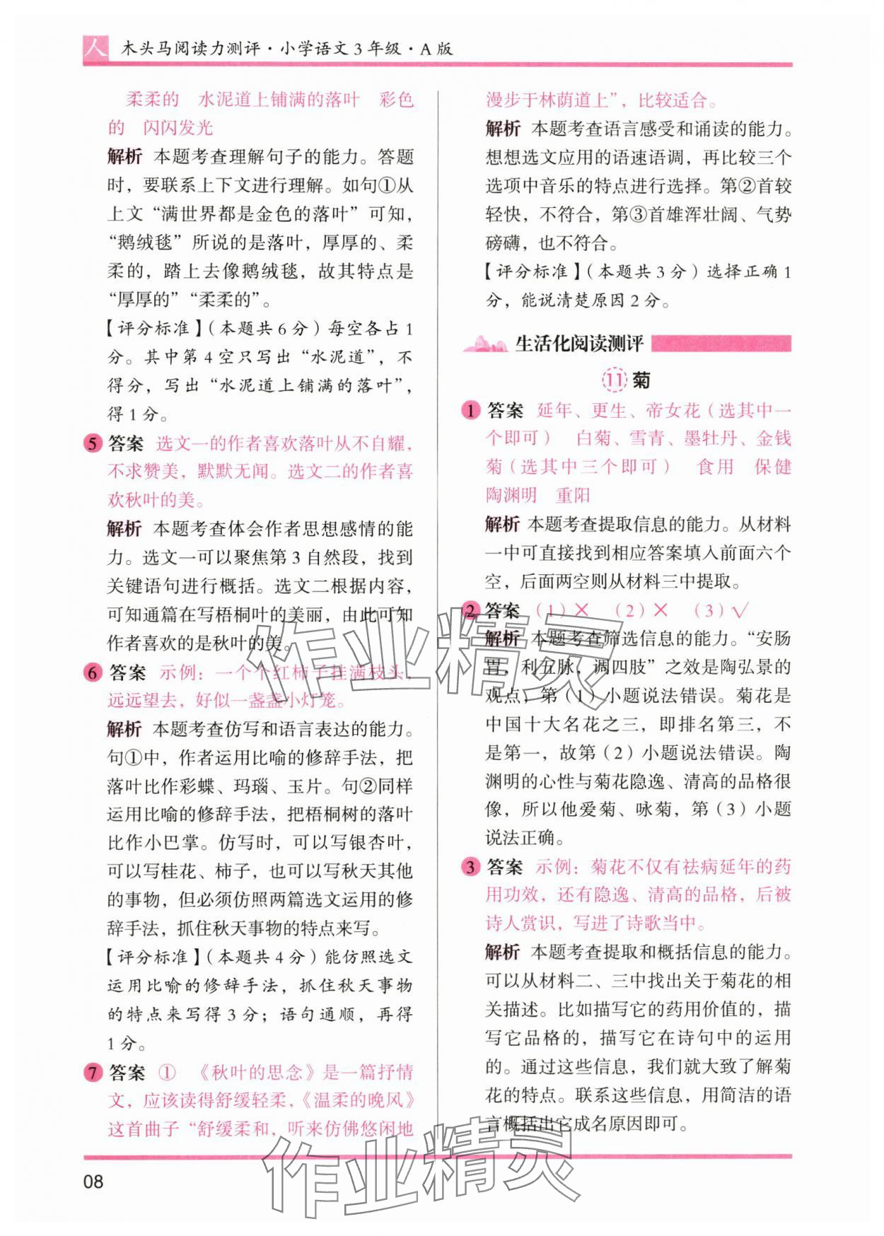 2024年木头马阅读力测评三年级语文上册人教版&nbsp;第8页