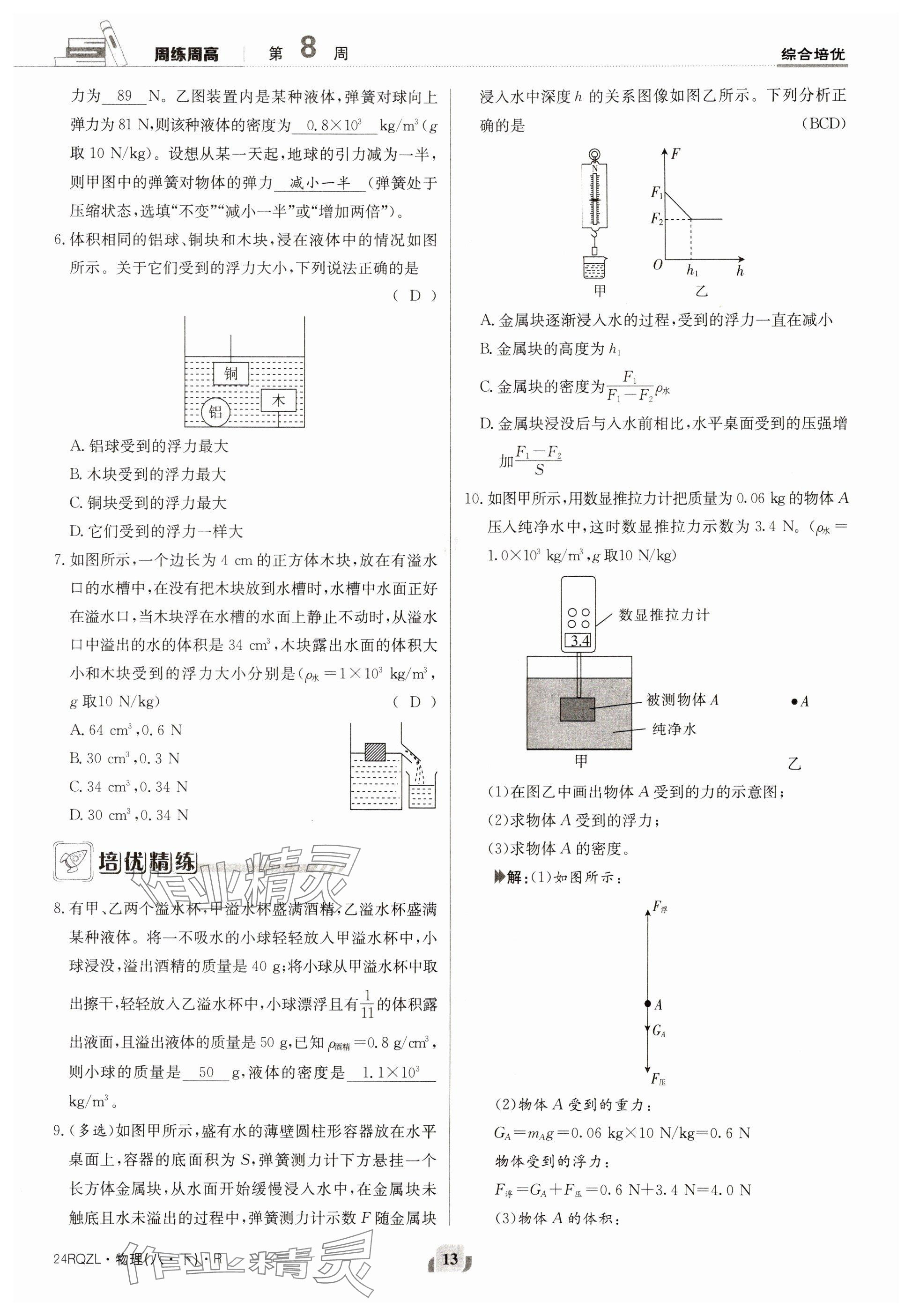 2024年日清周练八年级物理下册人教版 参考答案第13页