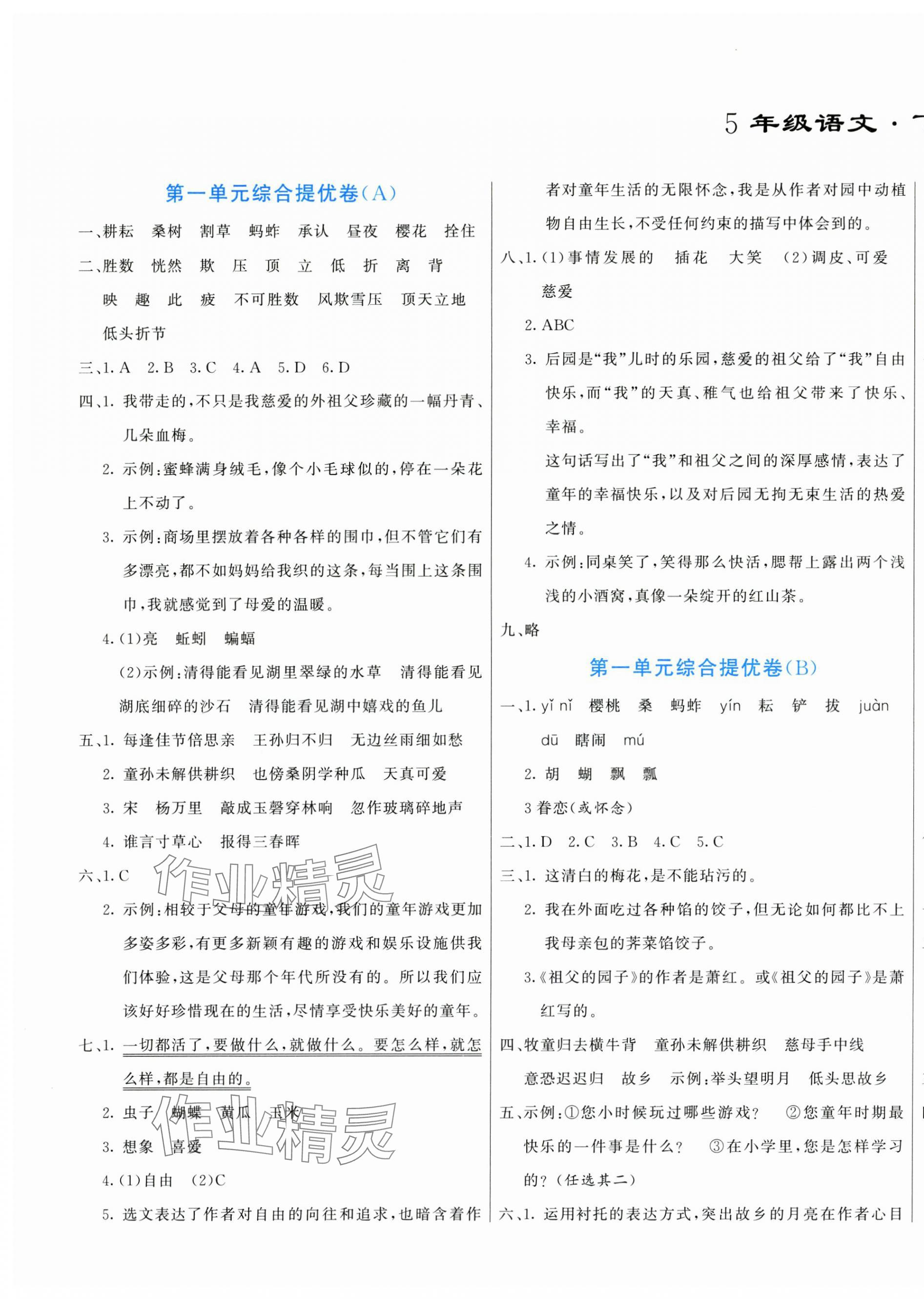 2025年亮點(diǎn)激活提優(yōu)大試卷五年級(jí)語(yǔ)文下冊(cè)人教版 第1頁(yè)