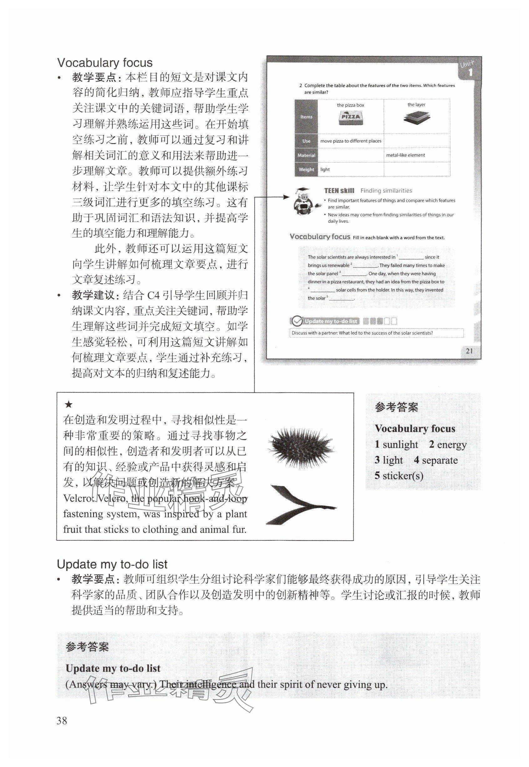 2025年教材课本七年级英语上册沪教版54制&nbsp;参考答案第38页
