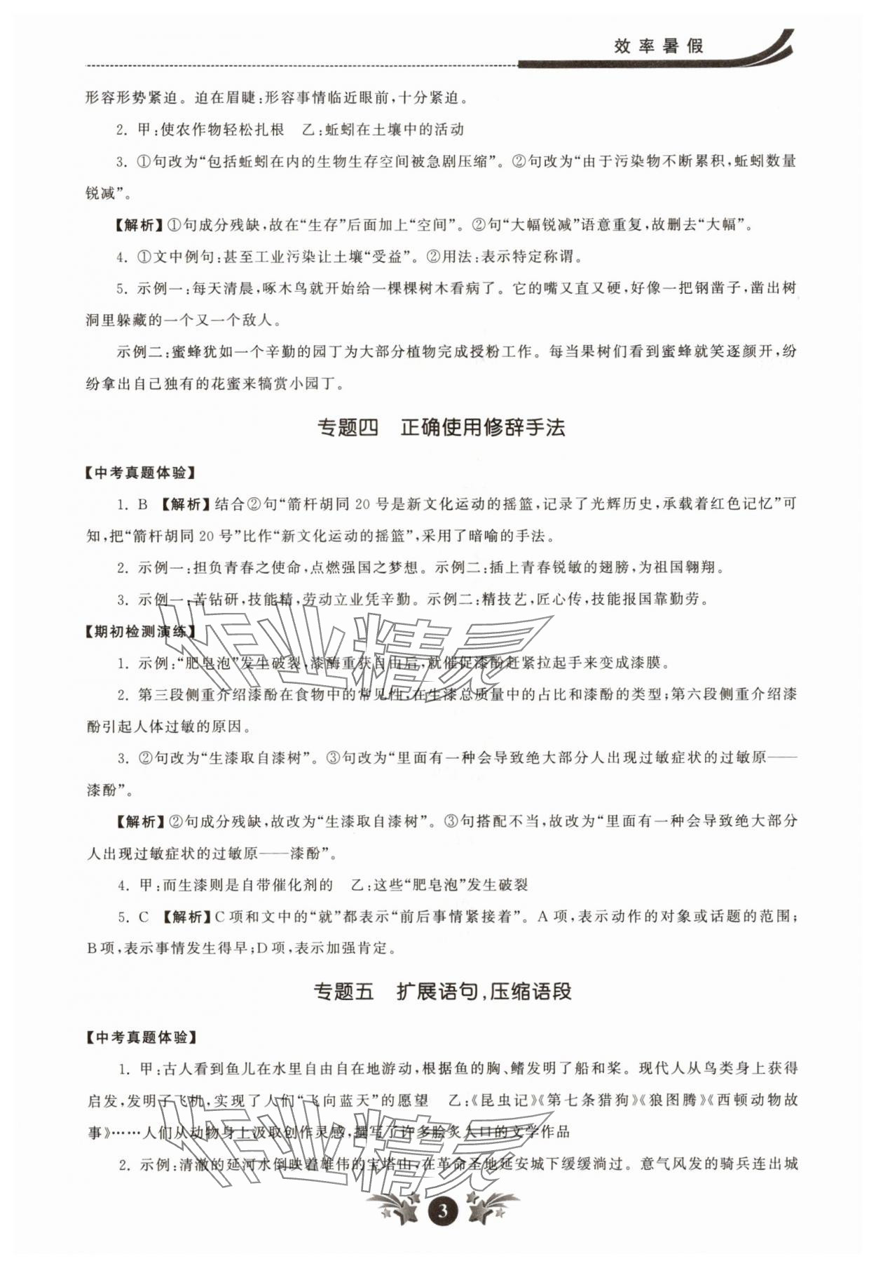 2025年效率暑假江蘇人民出版社六年級(jí)語(yǔ)文人教版 參考答案第3頁(yè)