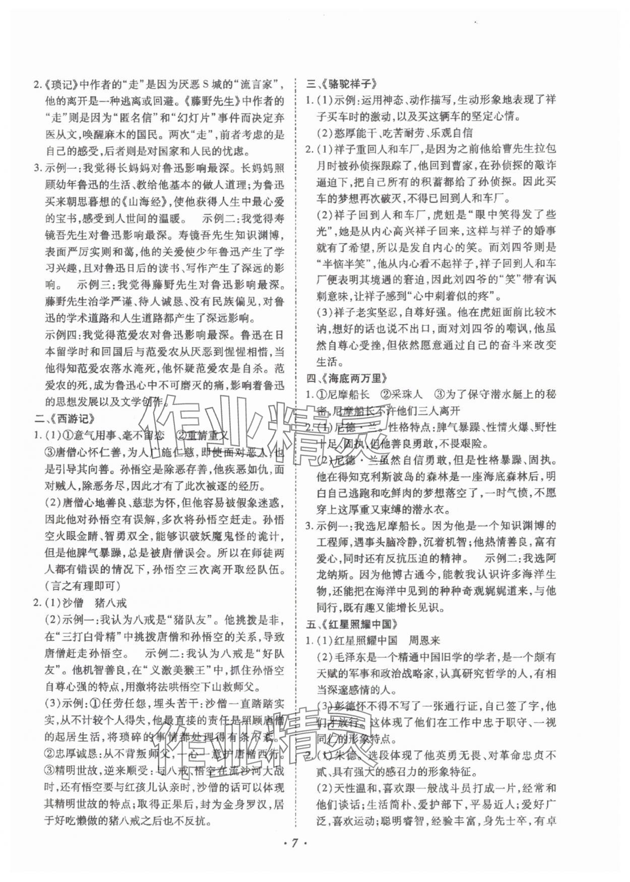 2025年本土攻略精準復習方案語文云南專版 參考答案第7頁
