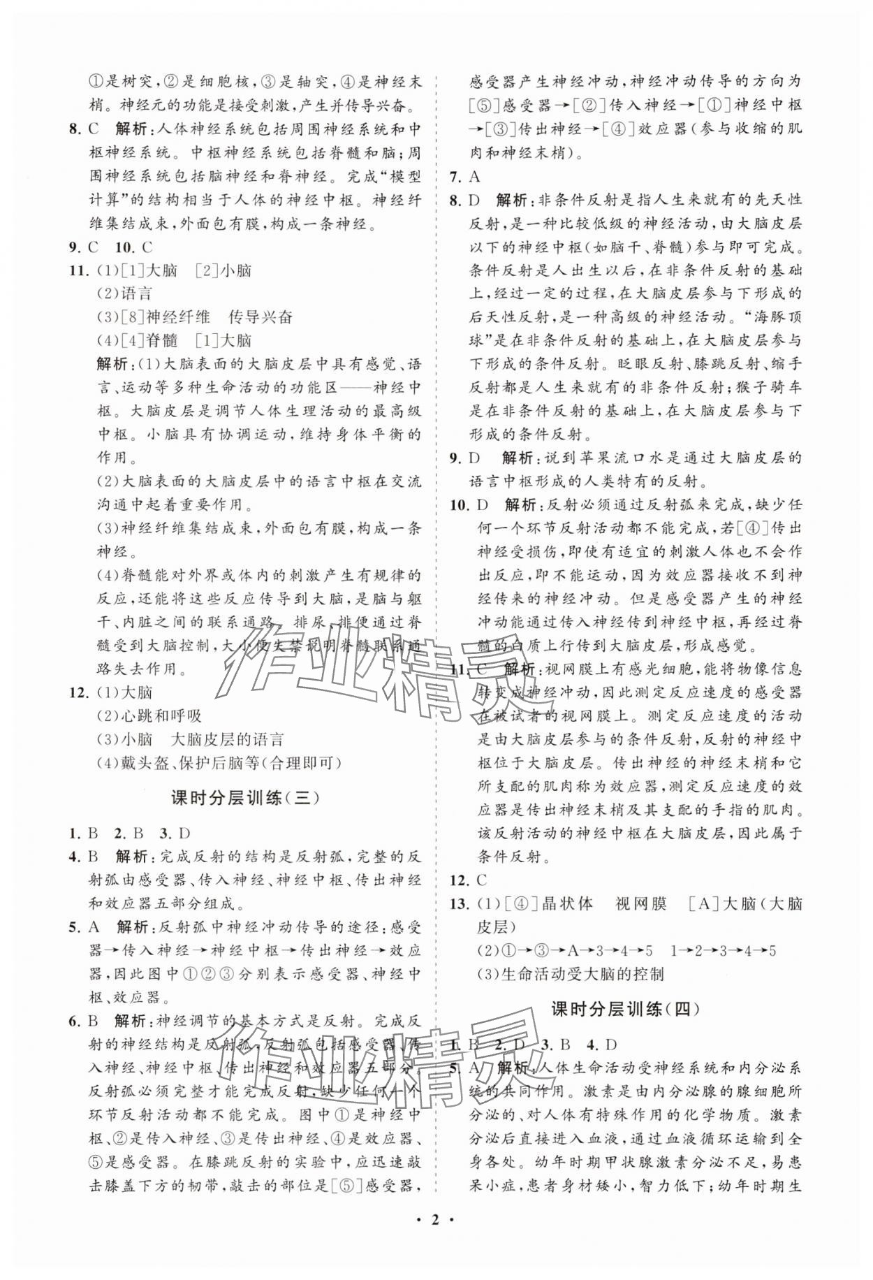 2025年同步練習冊分層卷七年級生物下冊魯科版54制 參考答案第2頁