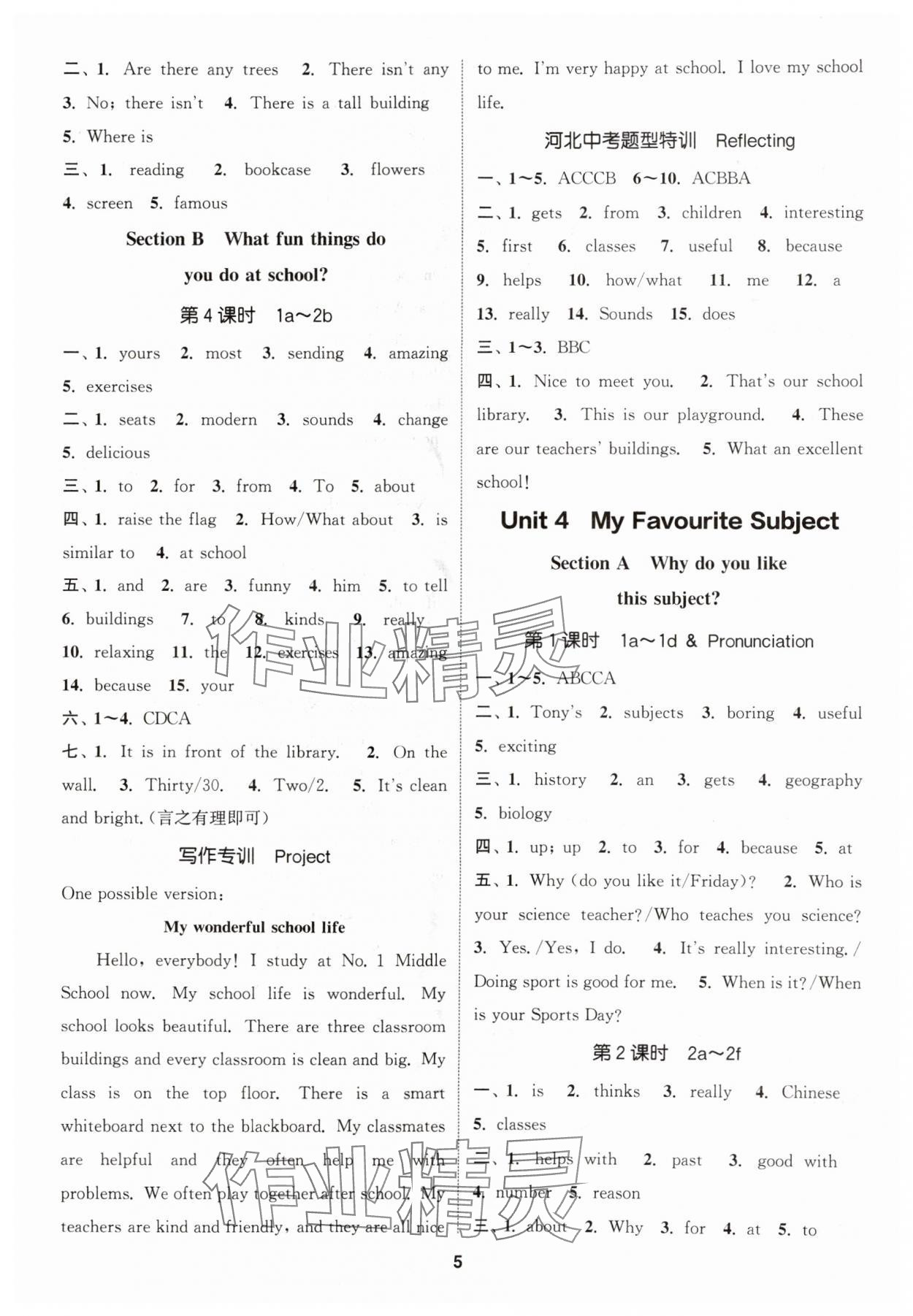 2025年通城学典课时作业本七年级英语上册人教版河北专版 第5页