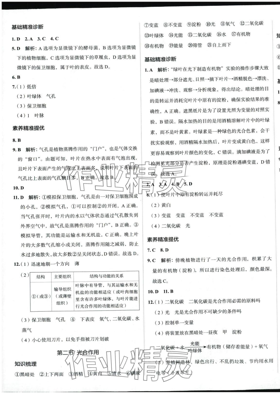2025年53精準練七年級生物下冊人教版山西專版 參考答案第3頁