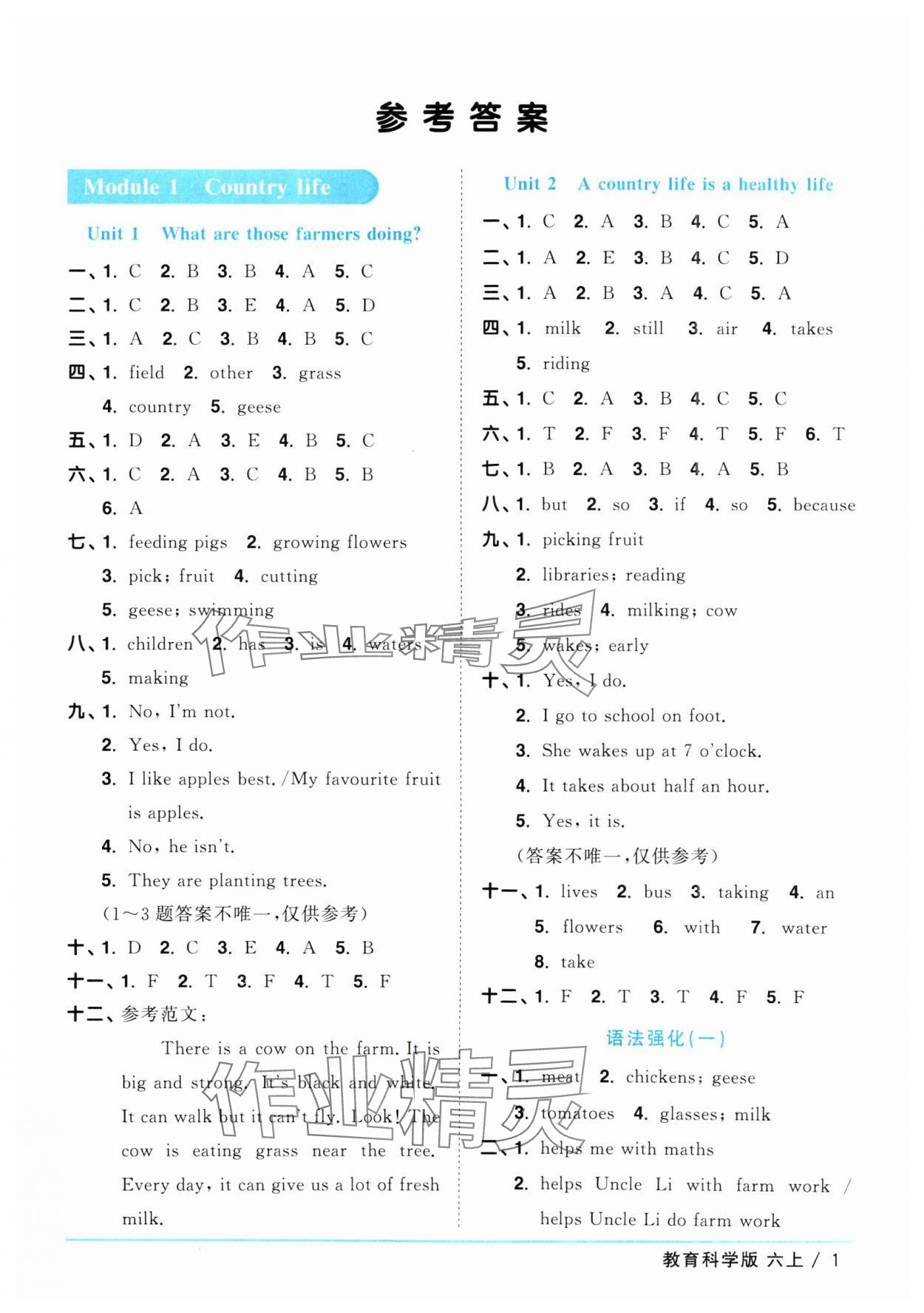 2025年陽光同學(xué)課時(shí)優(yōu)化作業(yè)六年級(jí)英語上冊教科版廣州專版 第1頁