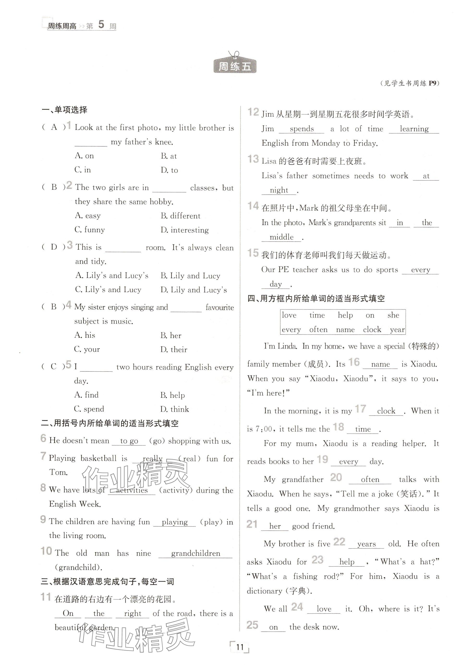 2024年日清周練七年級英語上冊人教版 參考答案第11頁