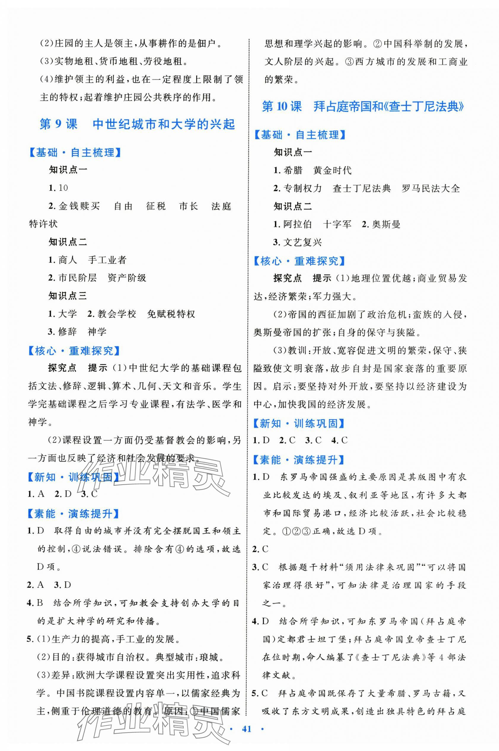 2025年同步學(xué)習(xí)目標(biāo)與檢測九年級歷史上冊人教版 第5頁