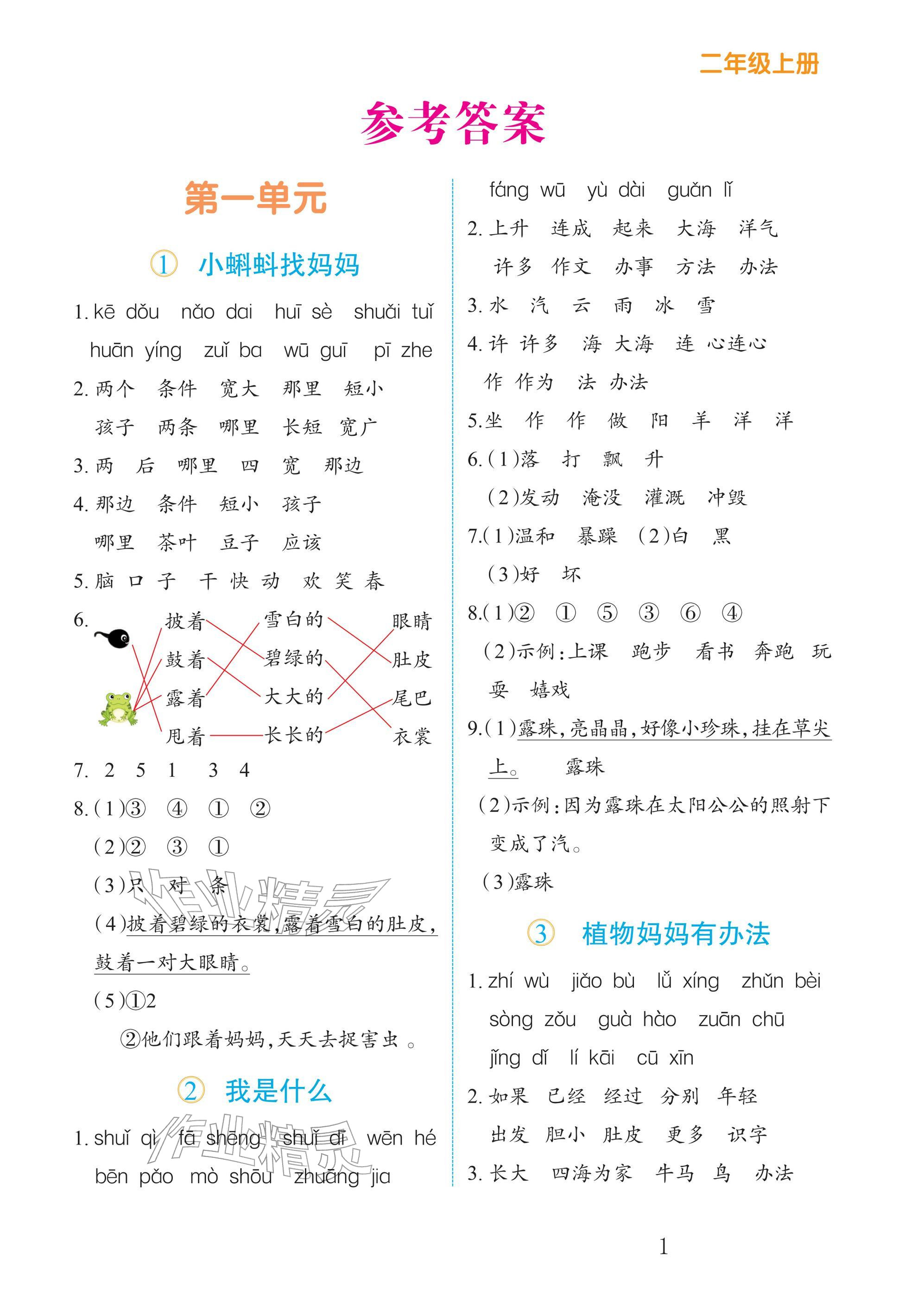 2025年语法专项训练二年级语文上册人教版 参考答案第1页