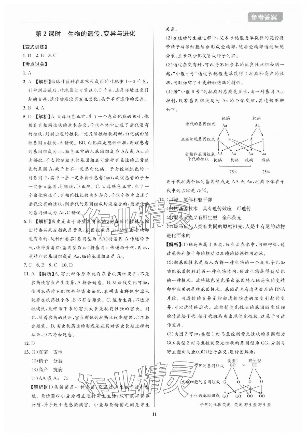 2025年廣東名師講練通中考總復(fù)習生物深圳專版&nbsp;第11頁