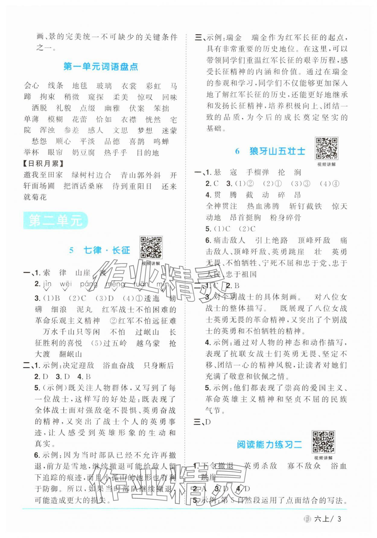 2024年阳光同学课时优化作业六年级语文上册人教版福建专版 参考答案第3页