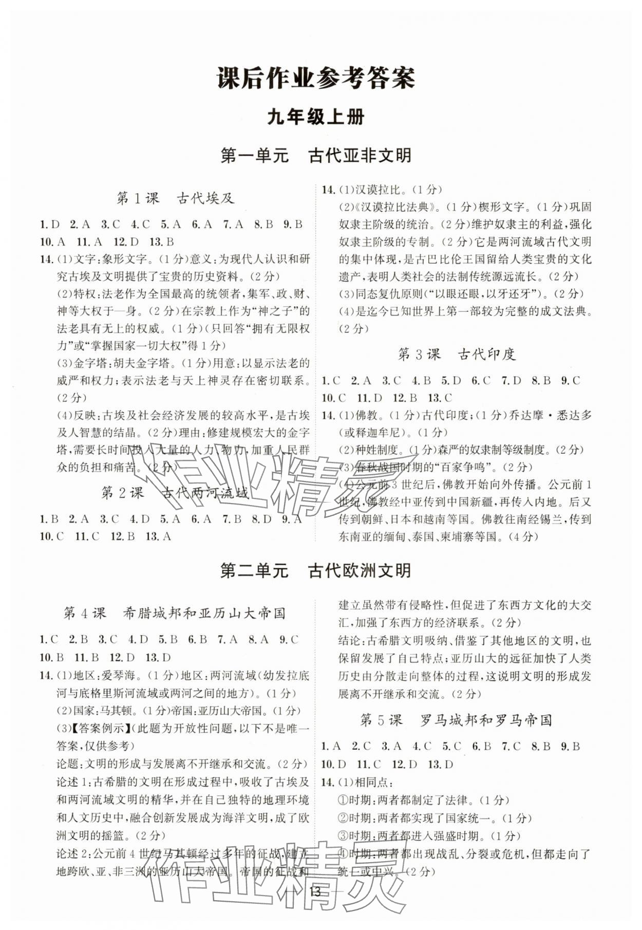 2023年考點專練九年級歷史全一冊人教版深圳專版 第13頁