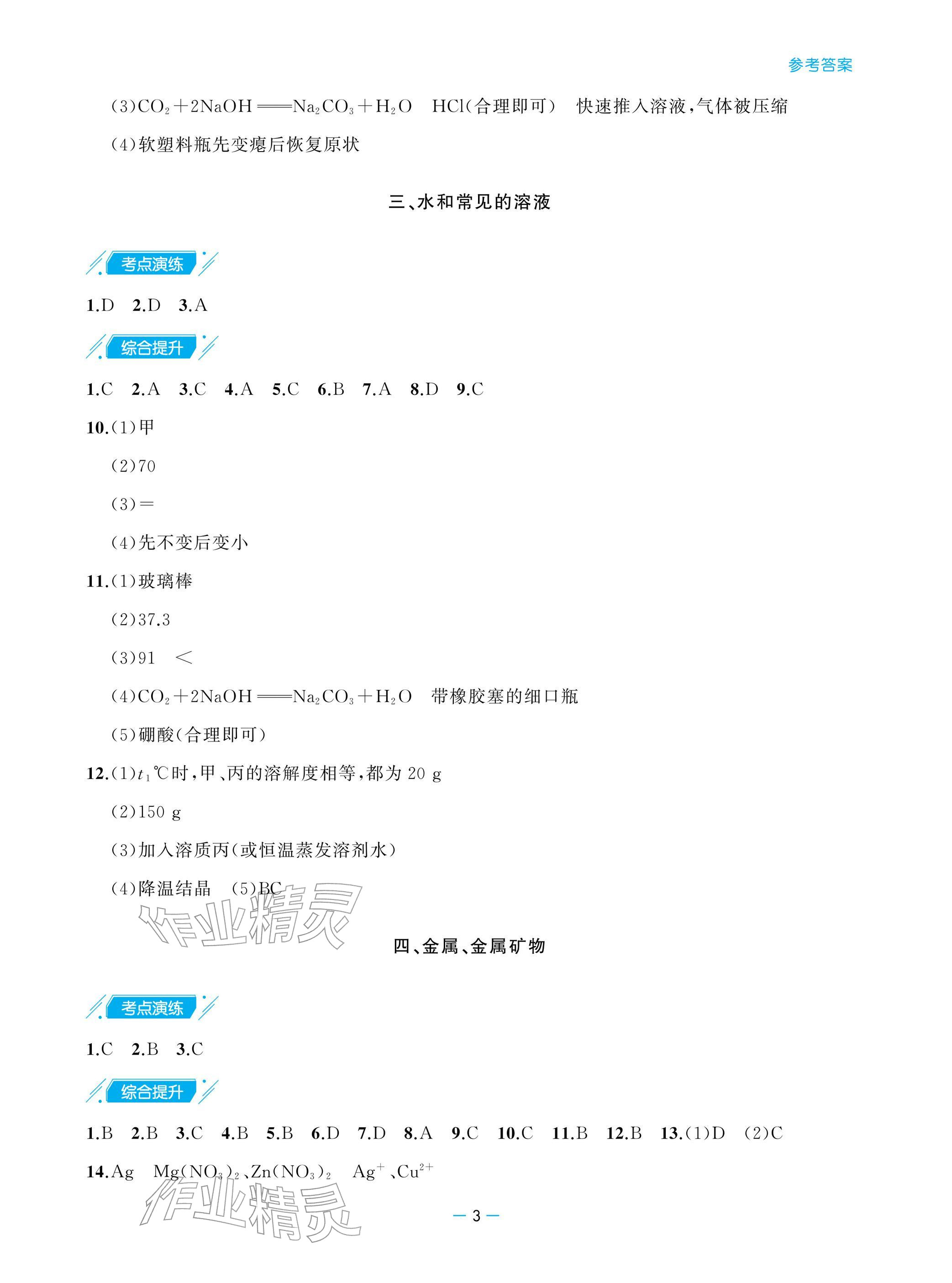 2026年新课堂同步学习与探究九年级化学下册鲁教版&nbsp;参考答案第3页