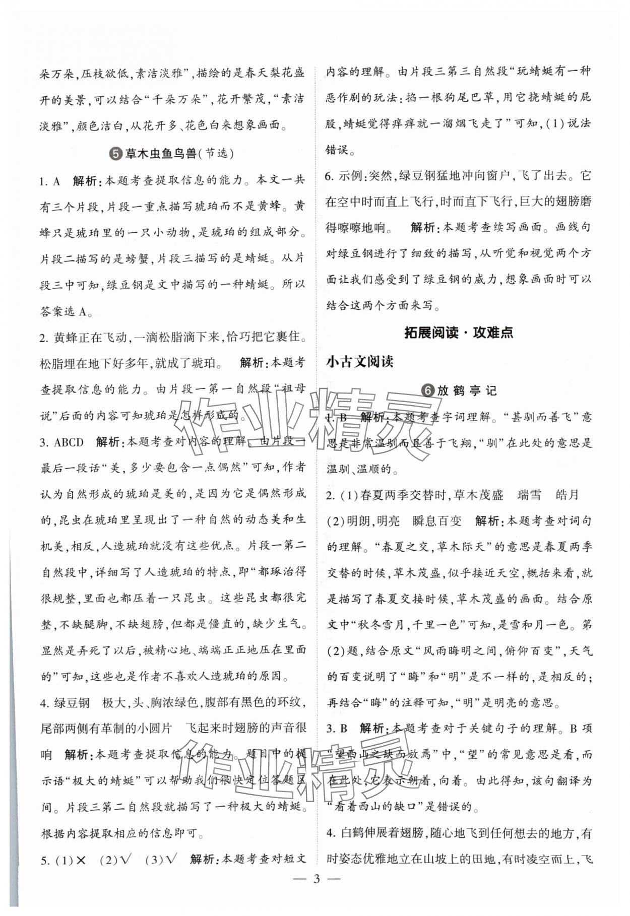 2024年經(jīng)綸學(xué)典同步閱讀三年級語文下冊人教版 參考答案第3頁