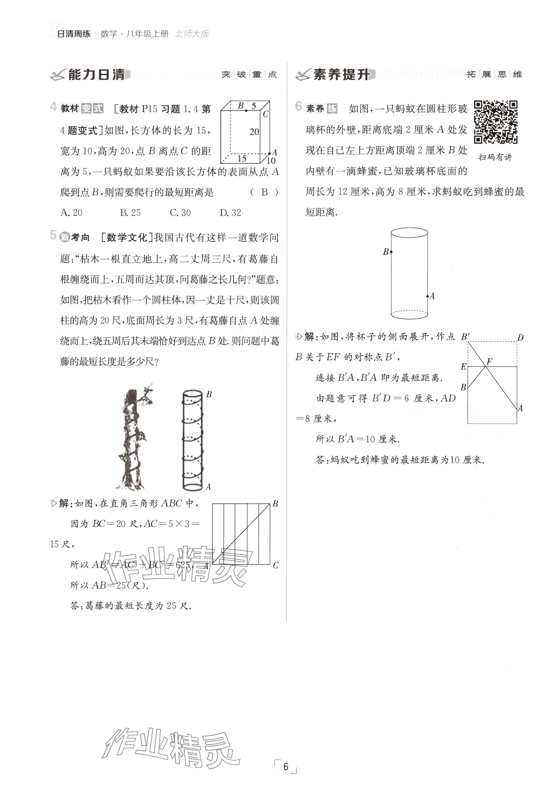 2024年日清周練八年級(jí)數(shù)學(xué)上冊(cè)北師大版 參考答案第6頁(yè)