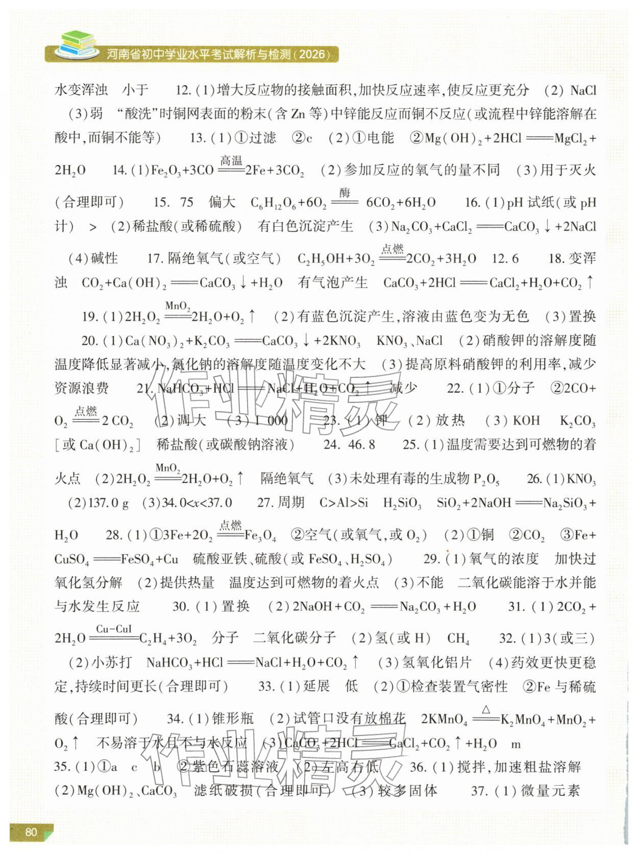 2026年河南省初中学业水平考试解析与检测化学上册&nbsp;第2页