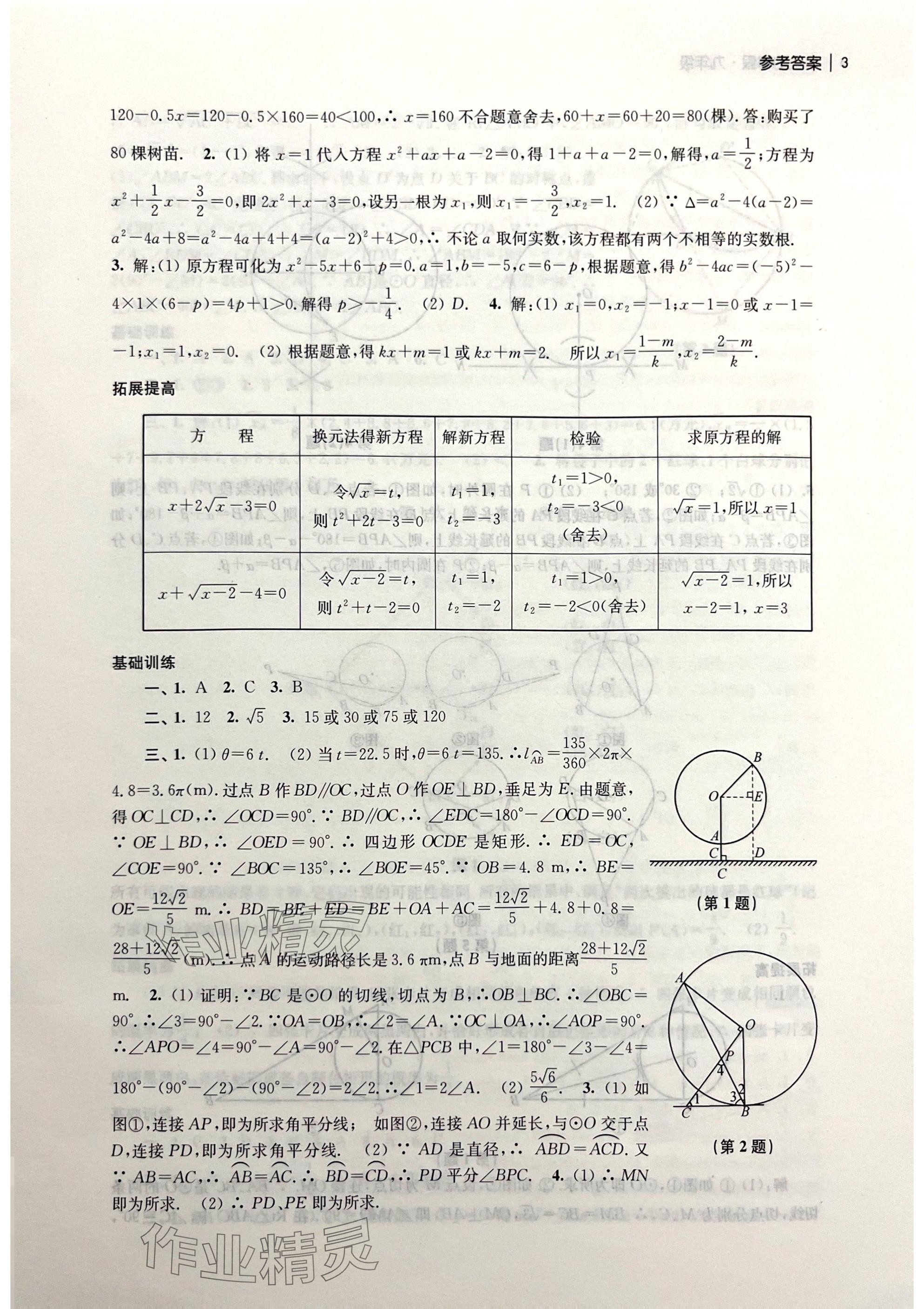 2025年愉快的寒假南京出版社九年級 參考答案第3頁
