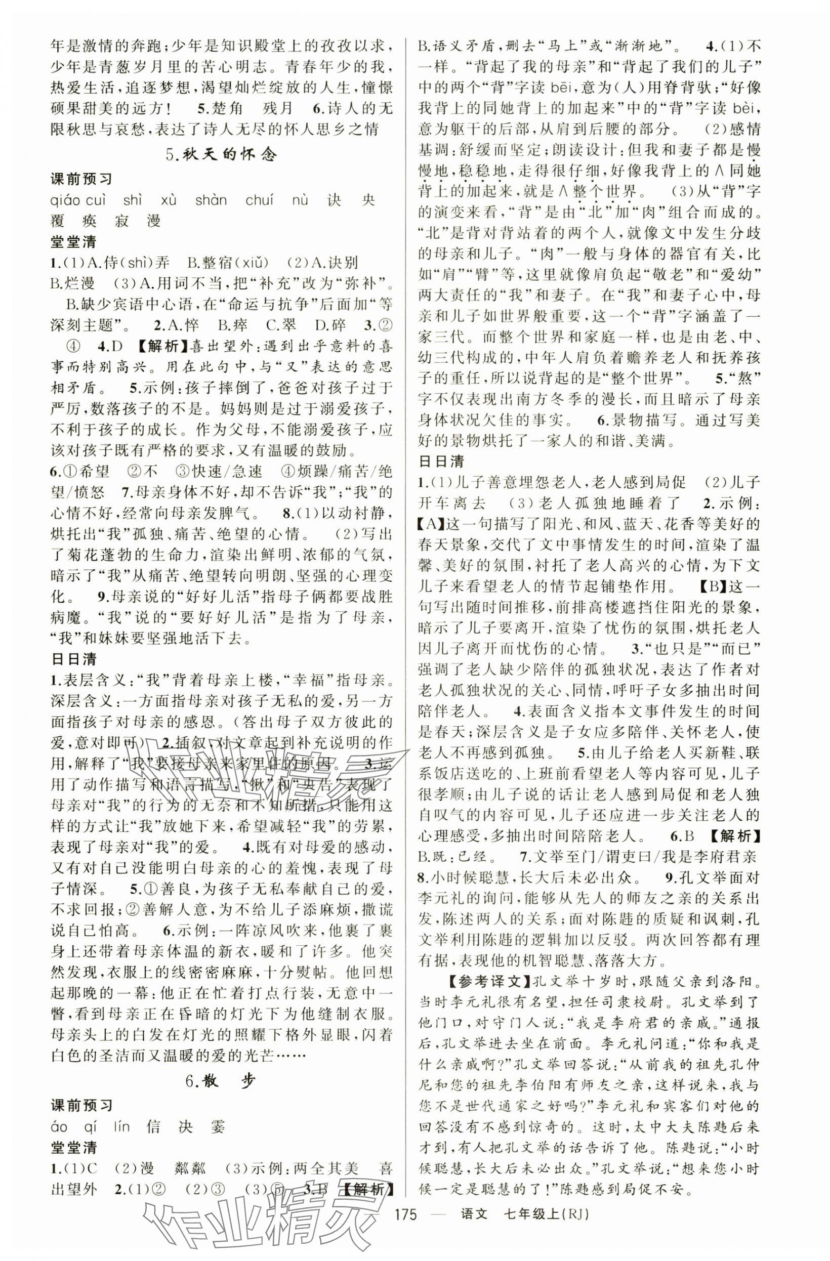 2025年四清導航七年級語文上冊人教版湖北專版 第3頁