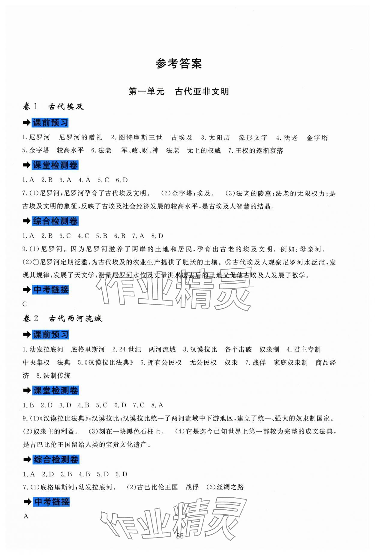 2025年课堂达标测试九年级历史上册人教版 第1页